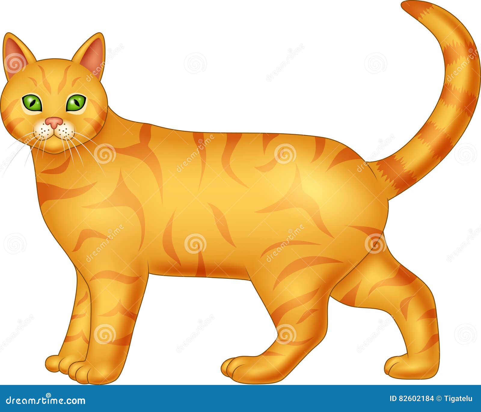 Cartoon Cat Isolated on White Background Stock Vector Illustration of
