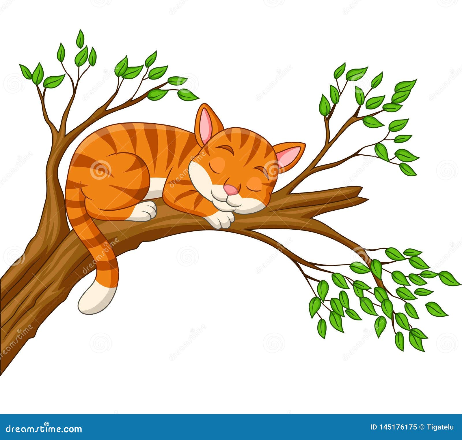 Cartoon Cat Sleeping On The Branch Stock Vector Illustration of