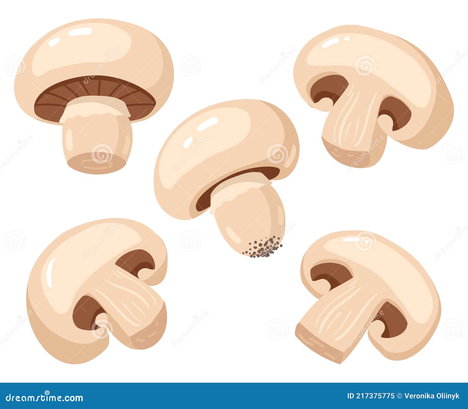 Cartoon Champignon. Edible Tasty Ripe Mushroom Slices, Delicious Raw Champignon Mushrooms Vector Illustration Set Stock Vector - Illustration of icon, eating: 217375775 Cartoon Champignon. Edible Tasty Ripe Mushroom Slices, Delicious Raw Champignon Mushrooms Vector Illustration Set Stock Vector - Illustration of icon, eating: 217375775