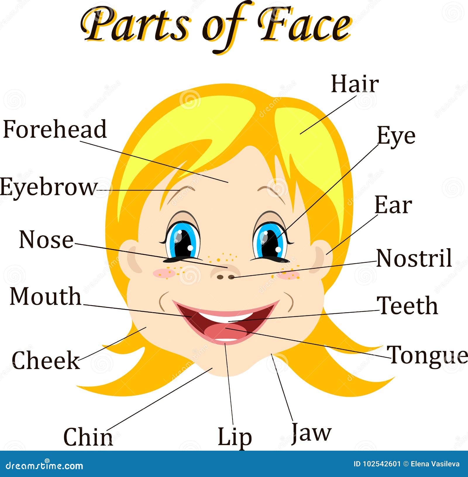 parts-of-the-head-for-english-vocabulary-words-education-vector-illustration-stock-vector