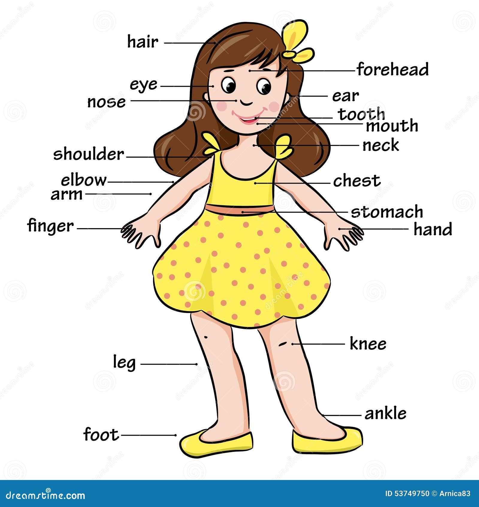 Cartoon Child Vocabulary Of Body Parts Stock Vector Illustration Of