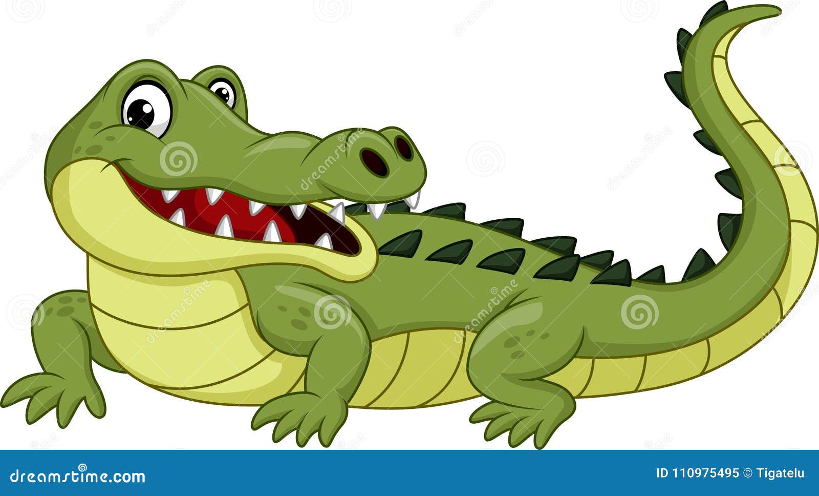 cartoon crocodile  on white background