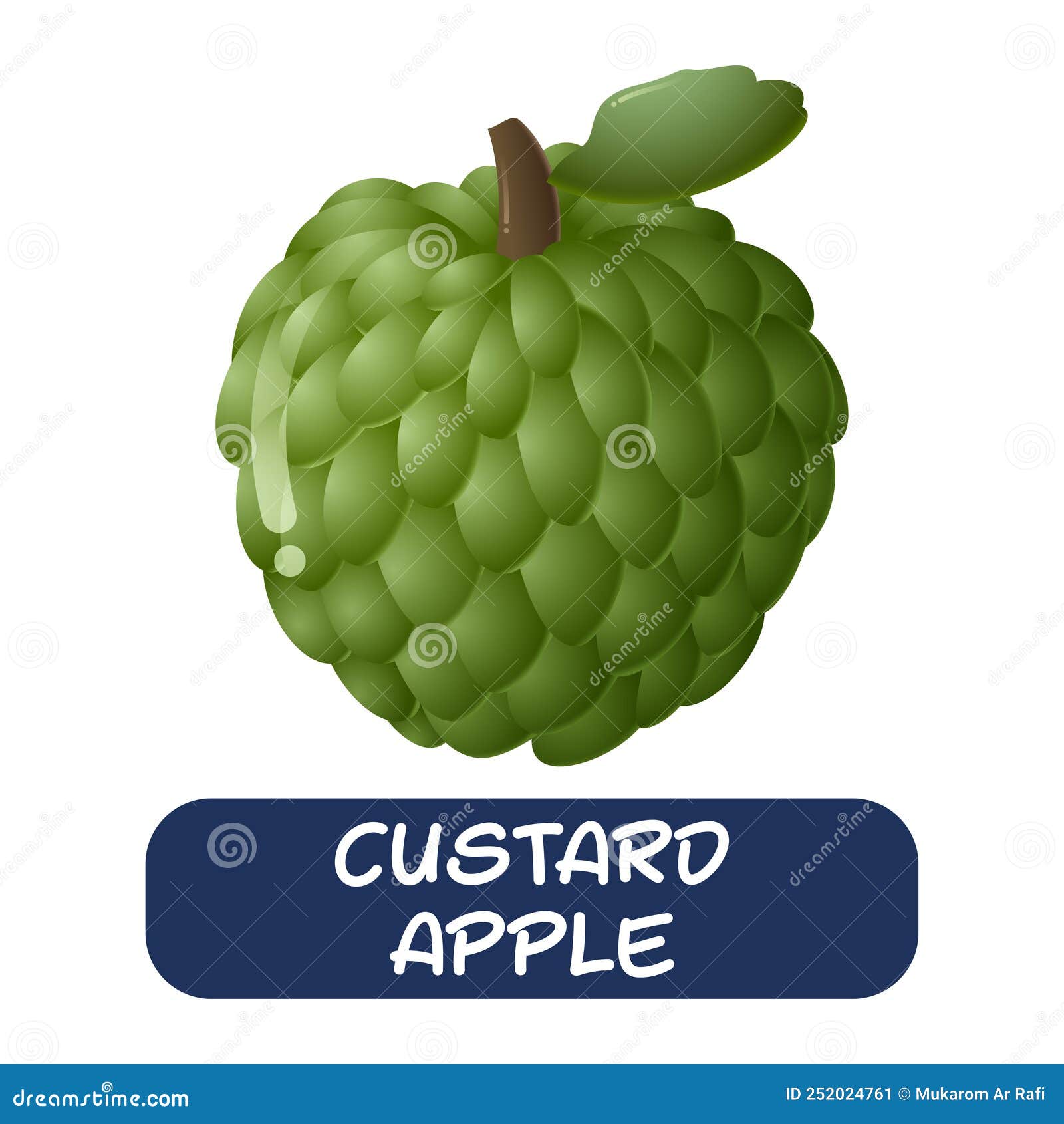 Cartoon Custard Apple Fruit Vector Isolated on White Background Stock