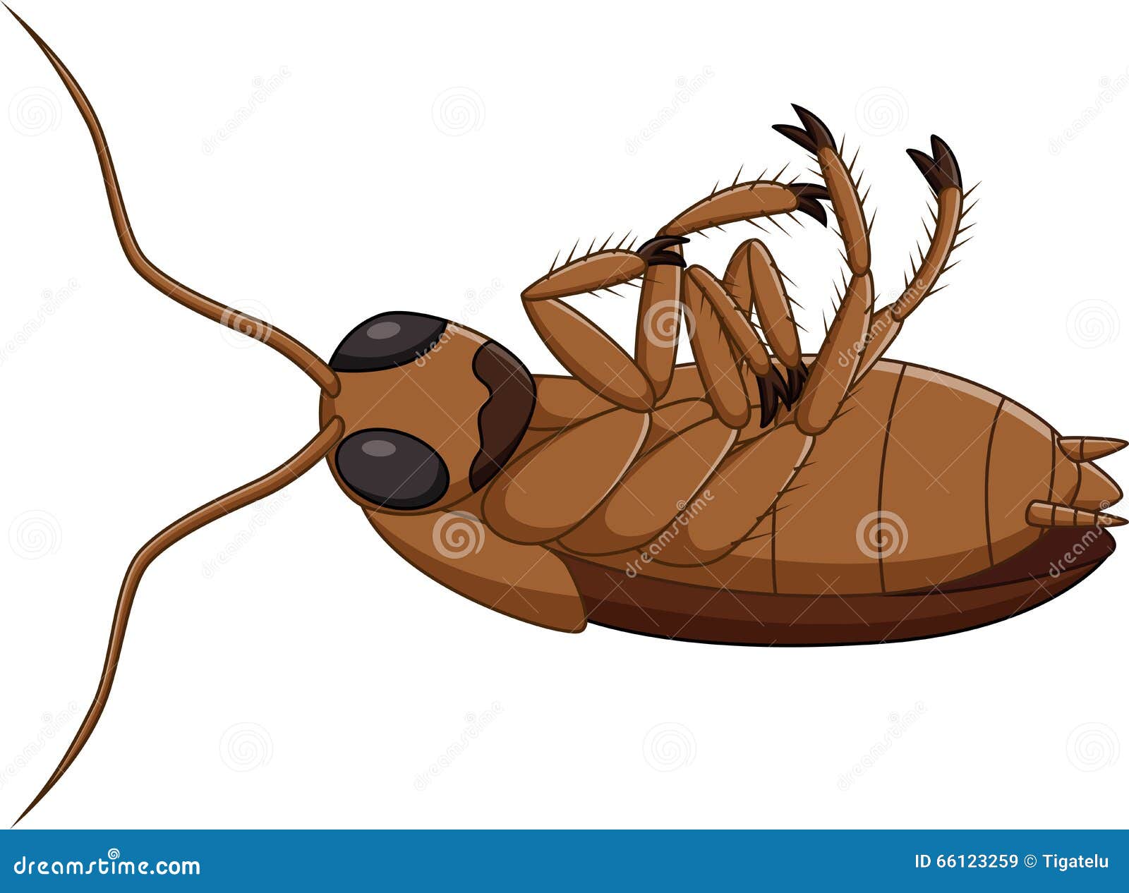 Cartoon dead cockroach stock vector. Illustration of pest - 66123259