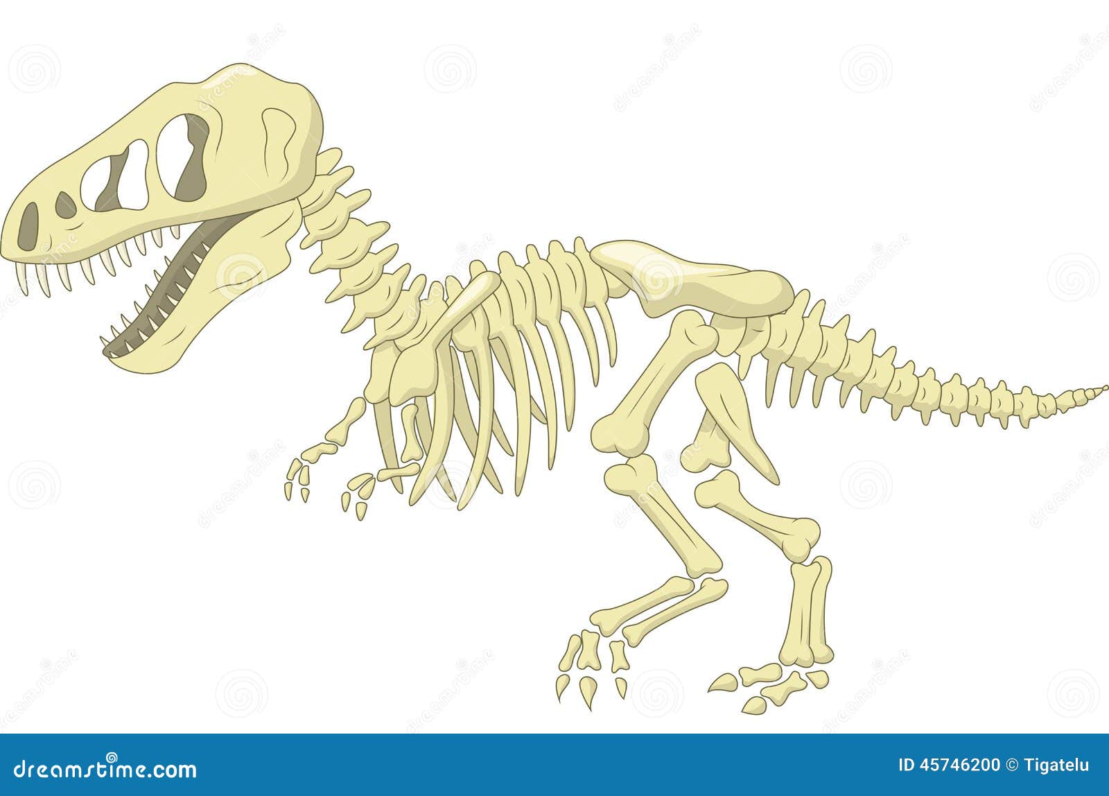 dinosaur fossil clip art - photo #45