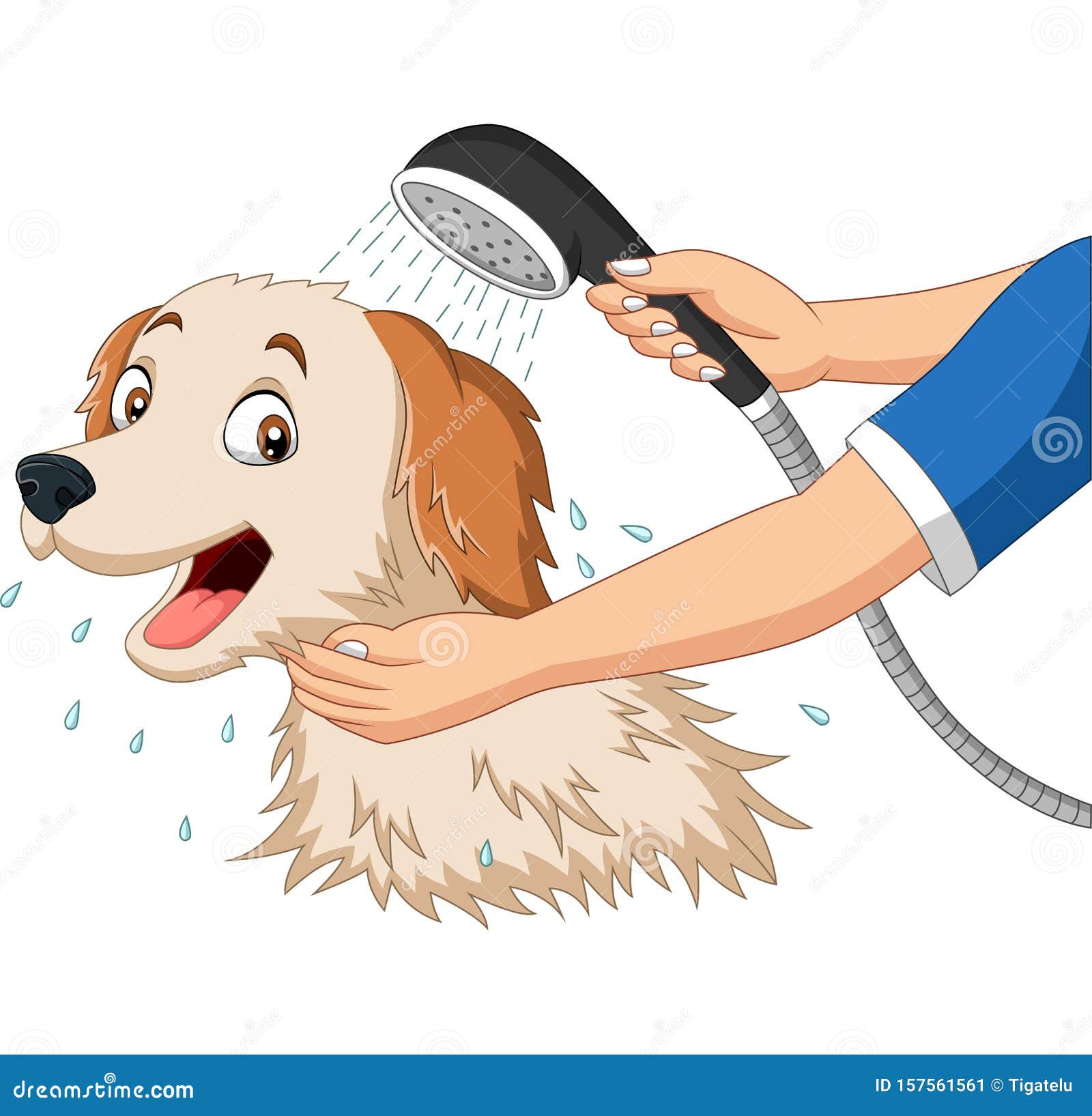 Cartoon Dog Bathing with Shower Stock Vector Illustration of cute
