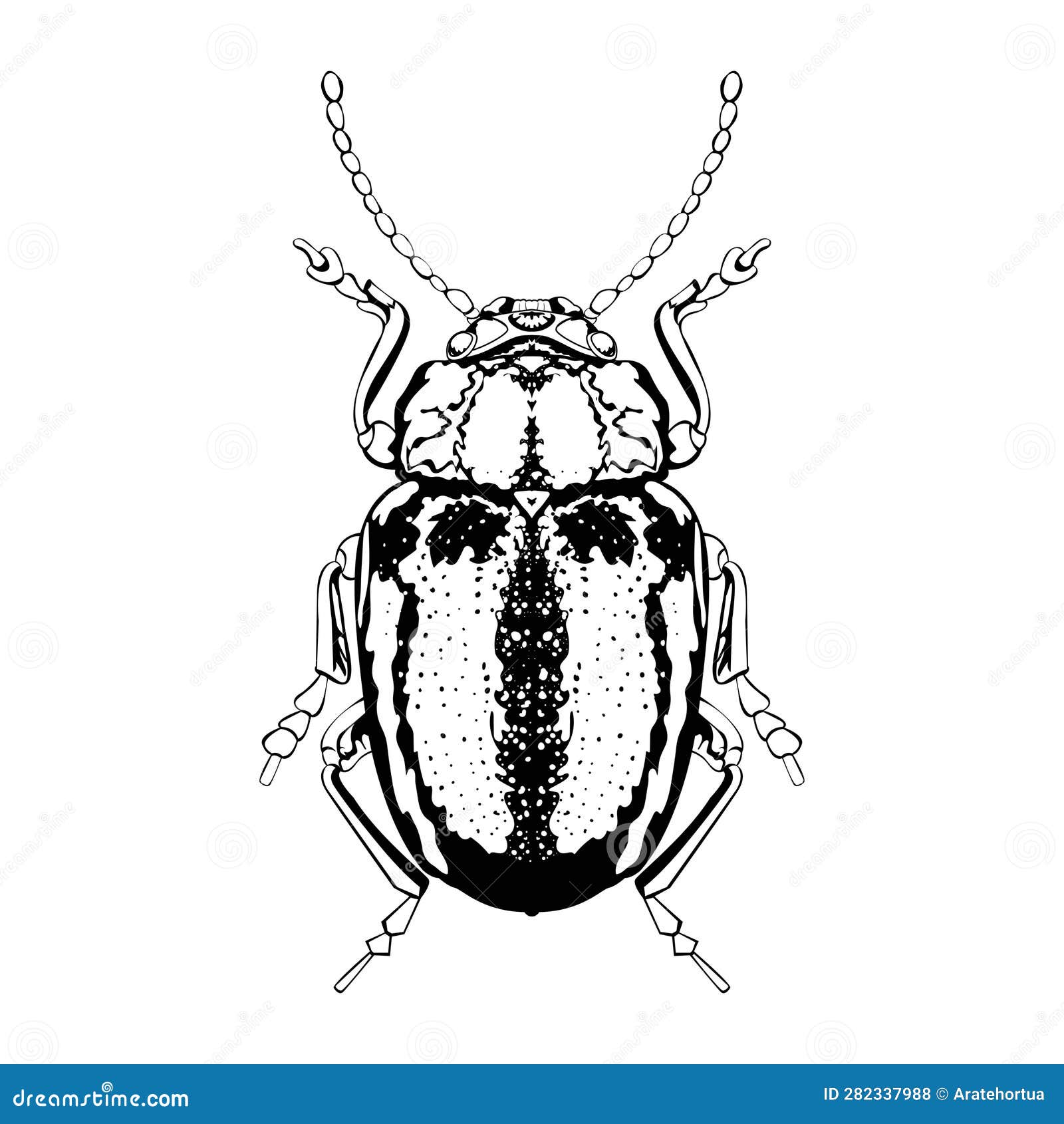 Vector Cartoon Dogbane Beetle Character Isolated Illustration Stock ...