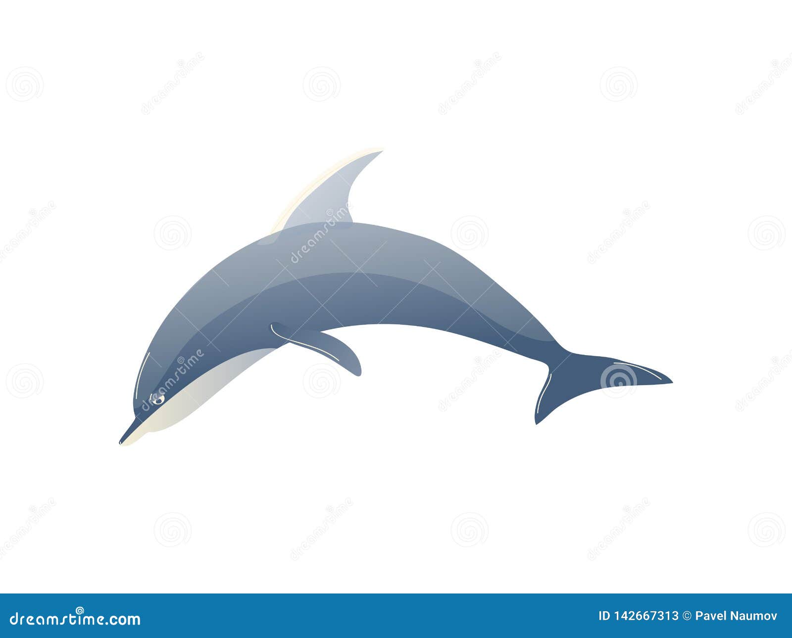 Cartoon Dolphin on White Background. Water Life Stock Vector - Illustration  of ecosystem, aquatic: 142667313