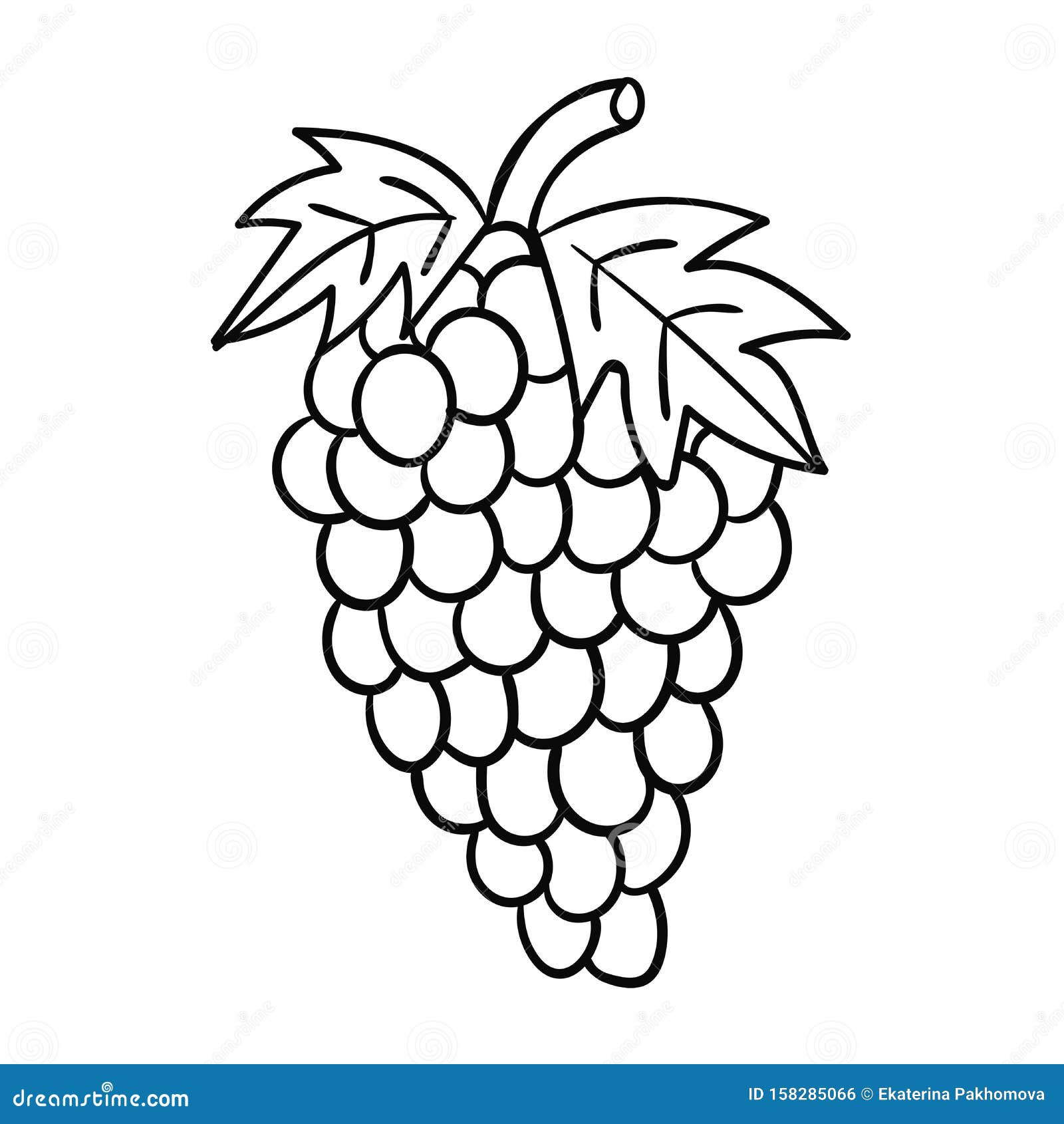 Cartoon Doodle Linear Grapes Isolated on White Background. Stock Vector -  Illustration of agriculture, juice: 158285066