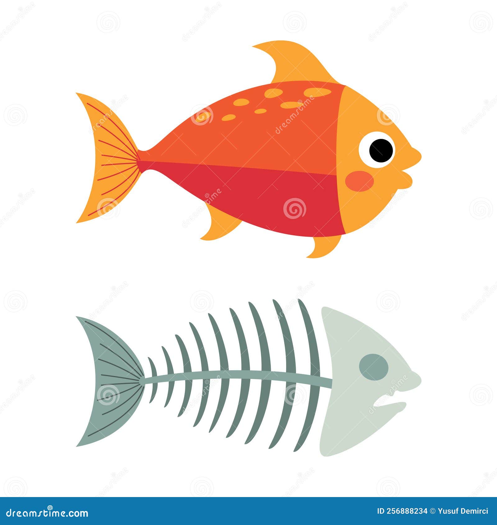 Cartoon Drawing of a Fish Bone Stock Illustration Illustration of