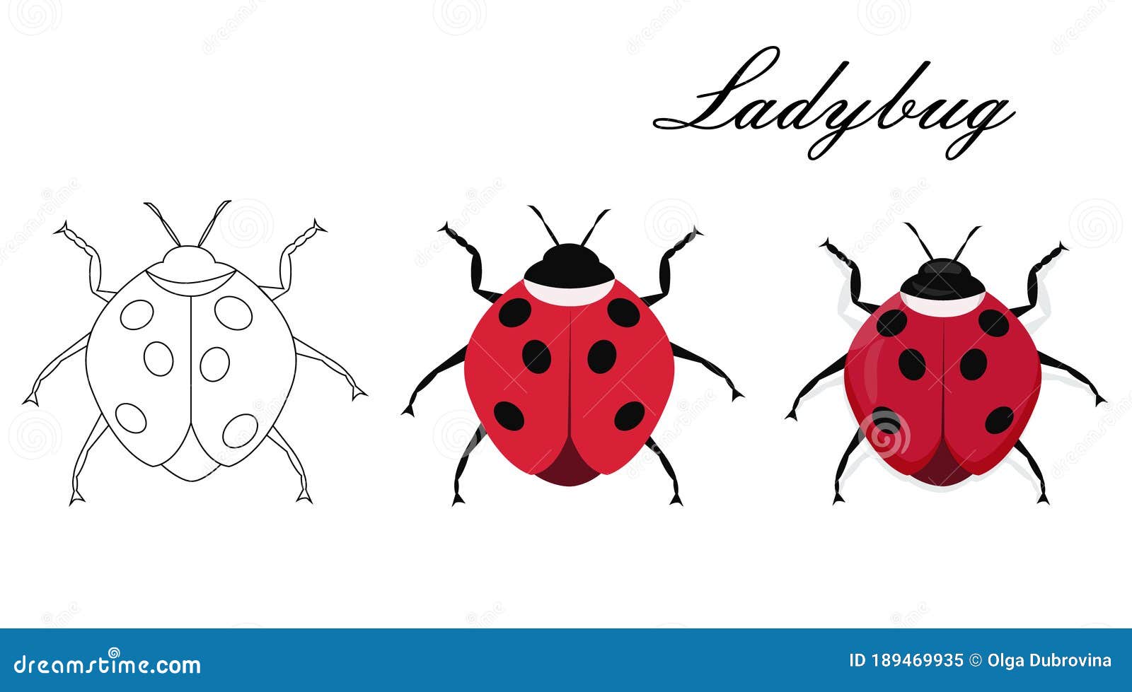 Cartoon Drawing Ladybug. Flat Style Isolated on White Background Stock Vector - Illustration of little, detail: 189469935 Cartoon Drawing Ladybug. Flat Style Isolated on White Background Stock Vector - Illustration of little, detail: 189469935