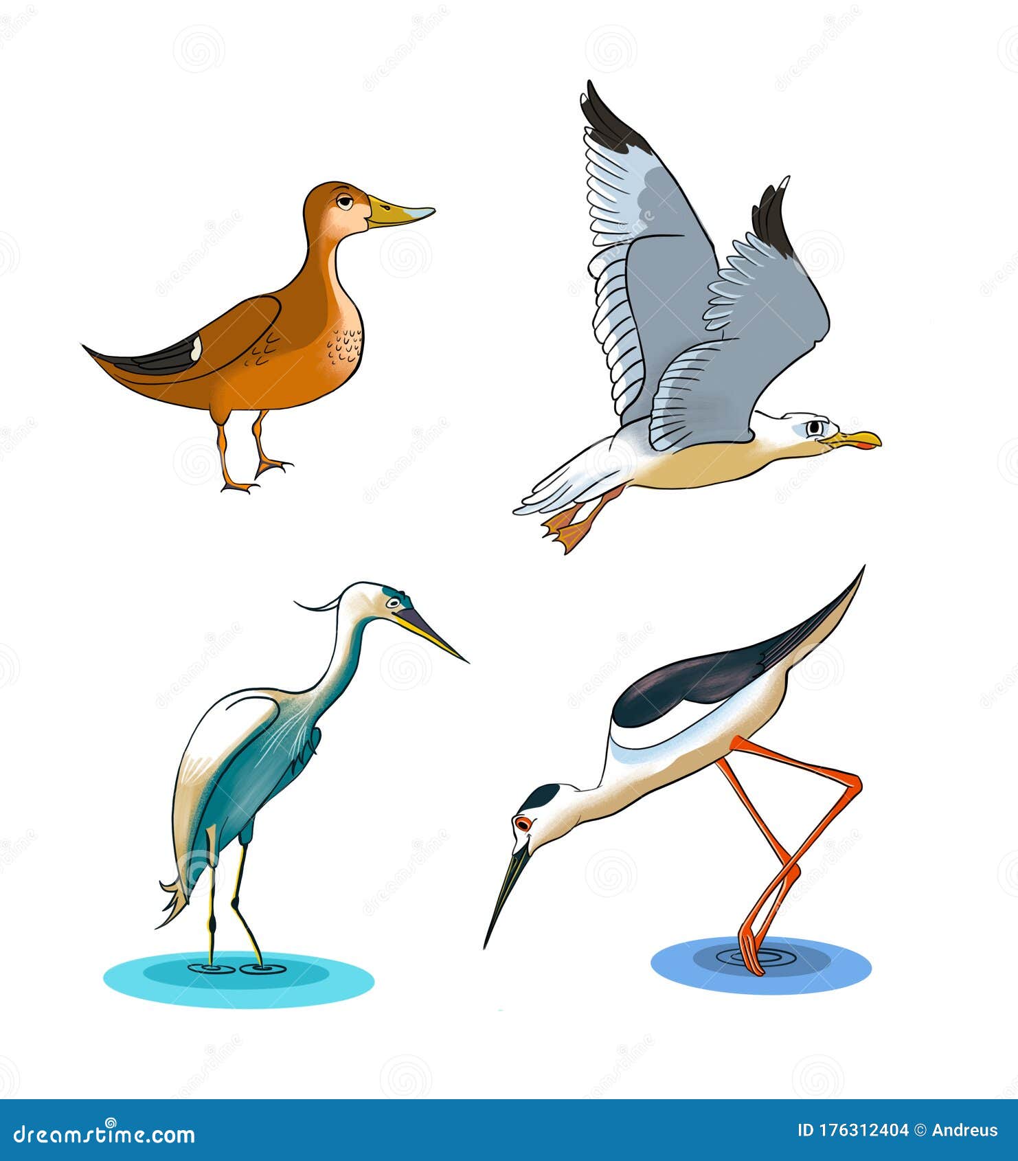 Cartoon Drawing of Some Wetlands Birds Stock Illustration - Illustration of background, mallard: 176312404 Cartoon Drawing of Some Wetlands Birds Stock Illustration - Illustration of background, mallard: 176312404