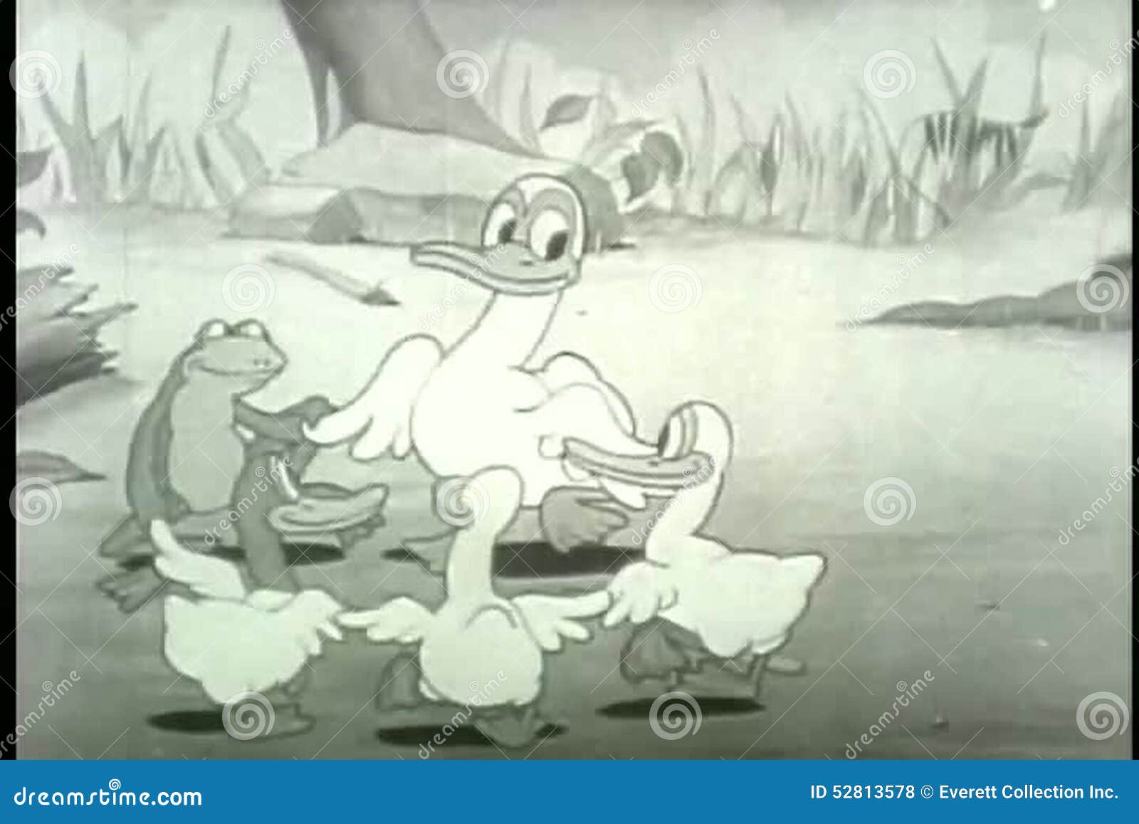 Cartoon of Ducks and Frog Dancing Stock Footage - Video of nature