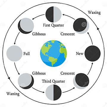 Cartoon Earth with Moon Phases Stock Vector - Illustration of design ...