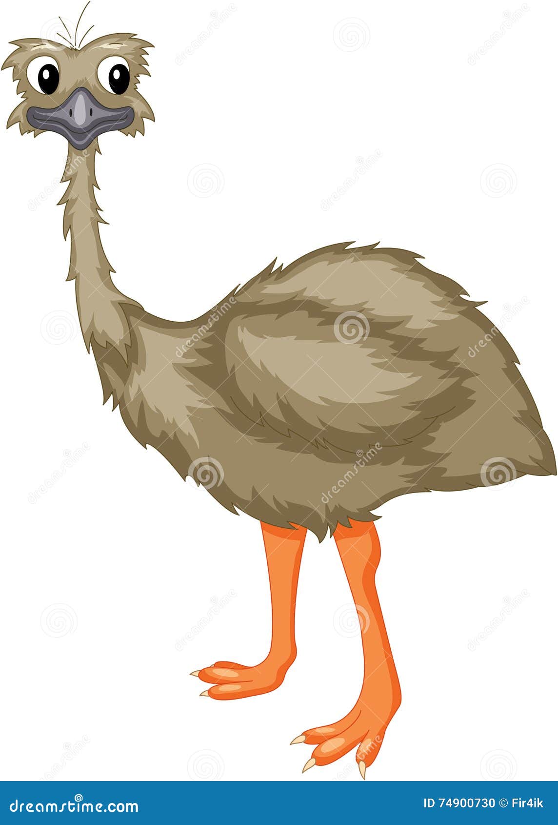 Cartoon emu stock vector. Illustration of gorgeous, gray - 74900730