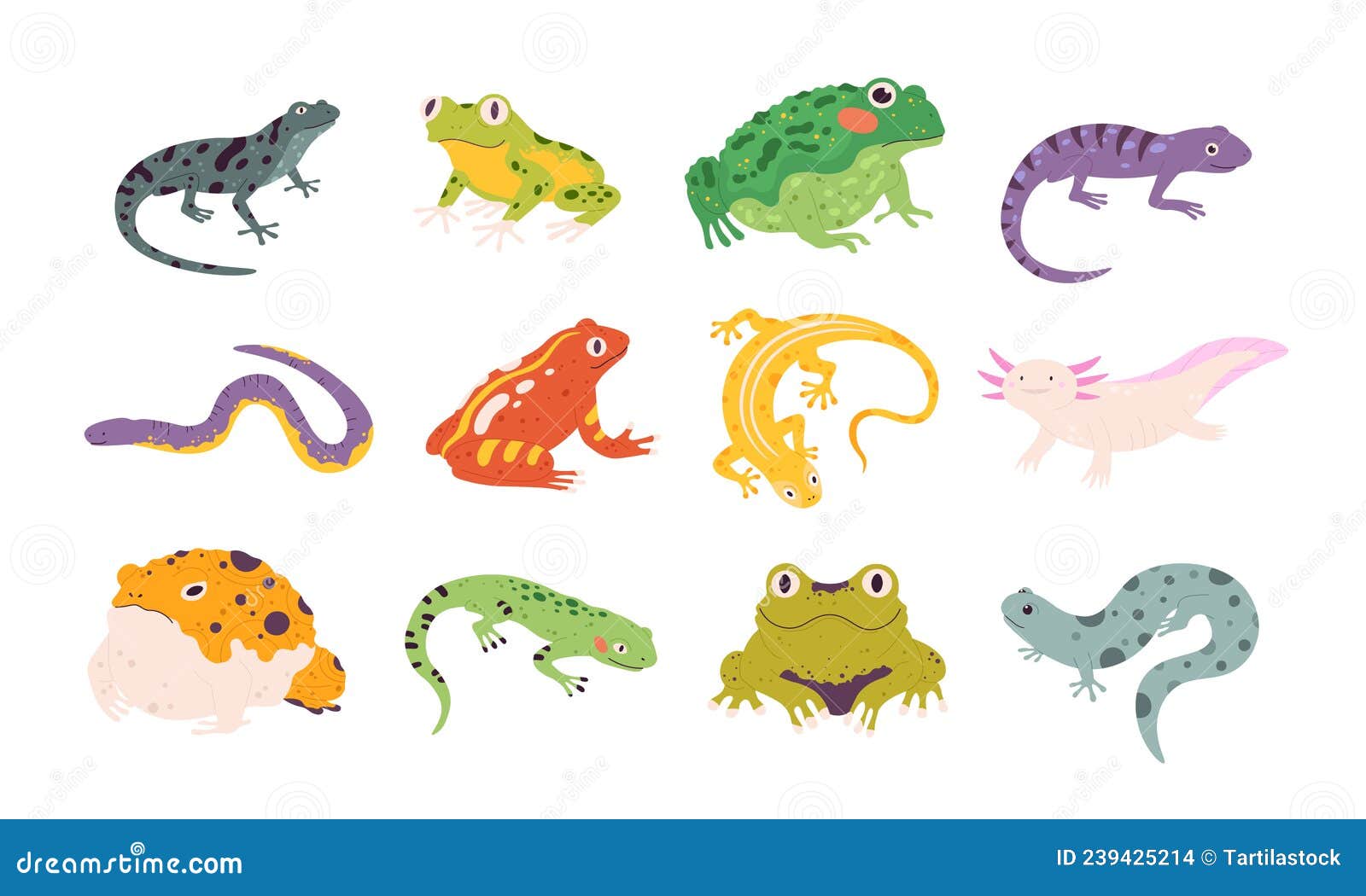 Cartoon Exotic Amphibian and Reptiles, Lizards, Newts, Toads and Frogs. Tropical Animals, Gecko, Triton, Salamander and Axolotl Stock Illustration - Illustration of rainforest, alligator: 239425214 Cartoon Exotic Amphibian and Reptiles, Lizards, Newts, Toads and Frogs. Tropical Animals, Gecko, Triton, Salamander and Axolotl Stock Illustration - Illustration of rainforest, alligator: 239425214