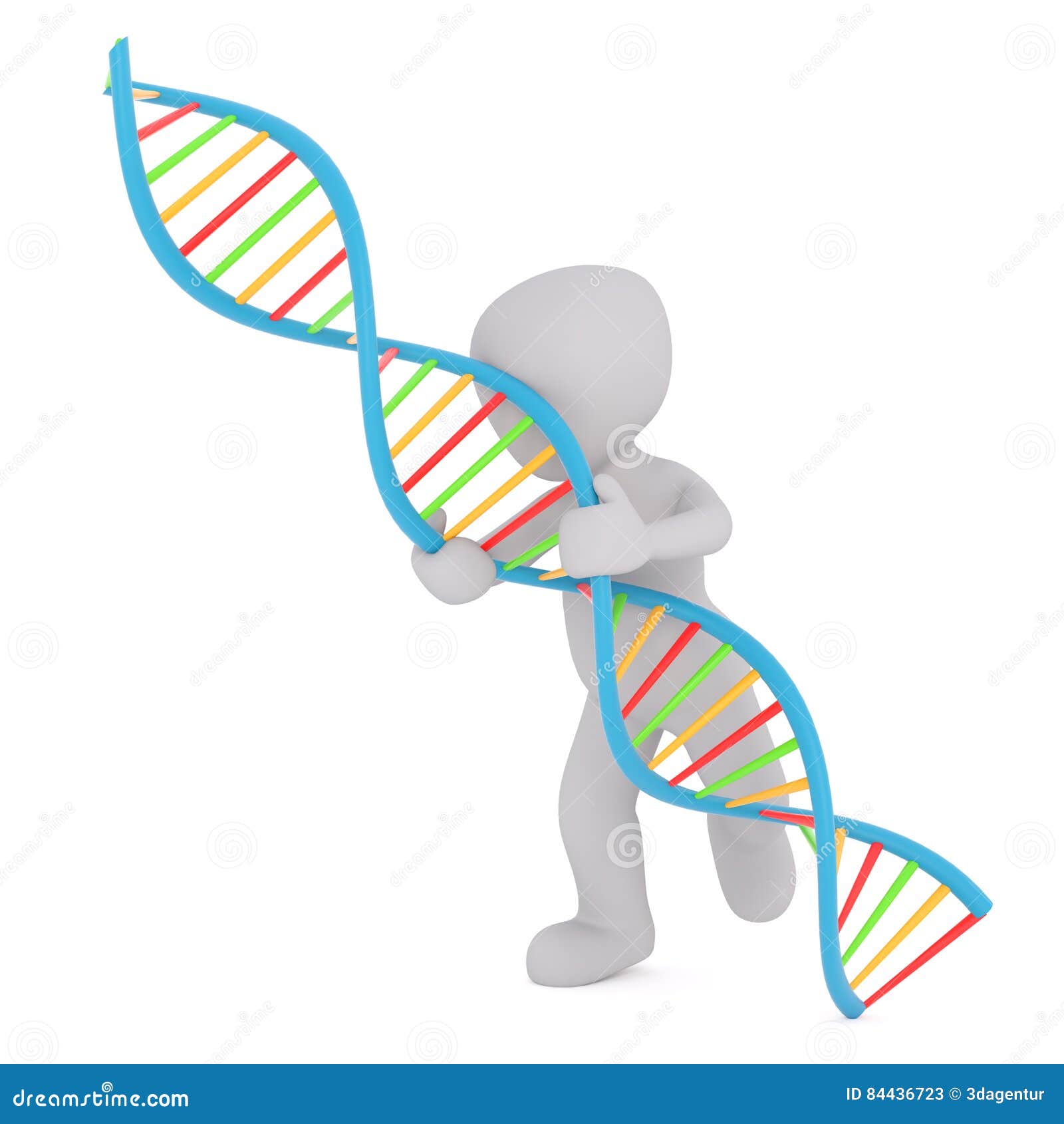 Cartoon Figure Carrying Large DNA Double Helix Stock Illustration -  Illustration of genetics, render: 84436723