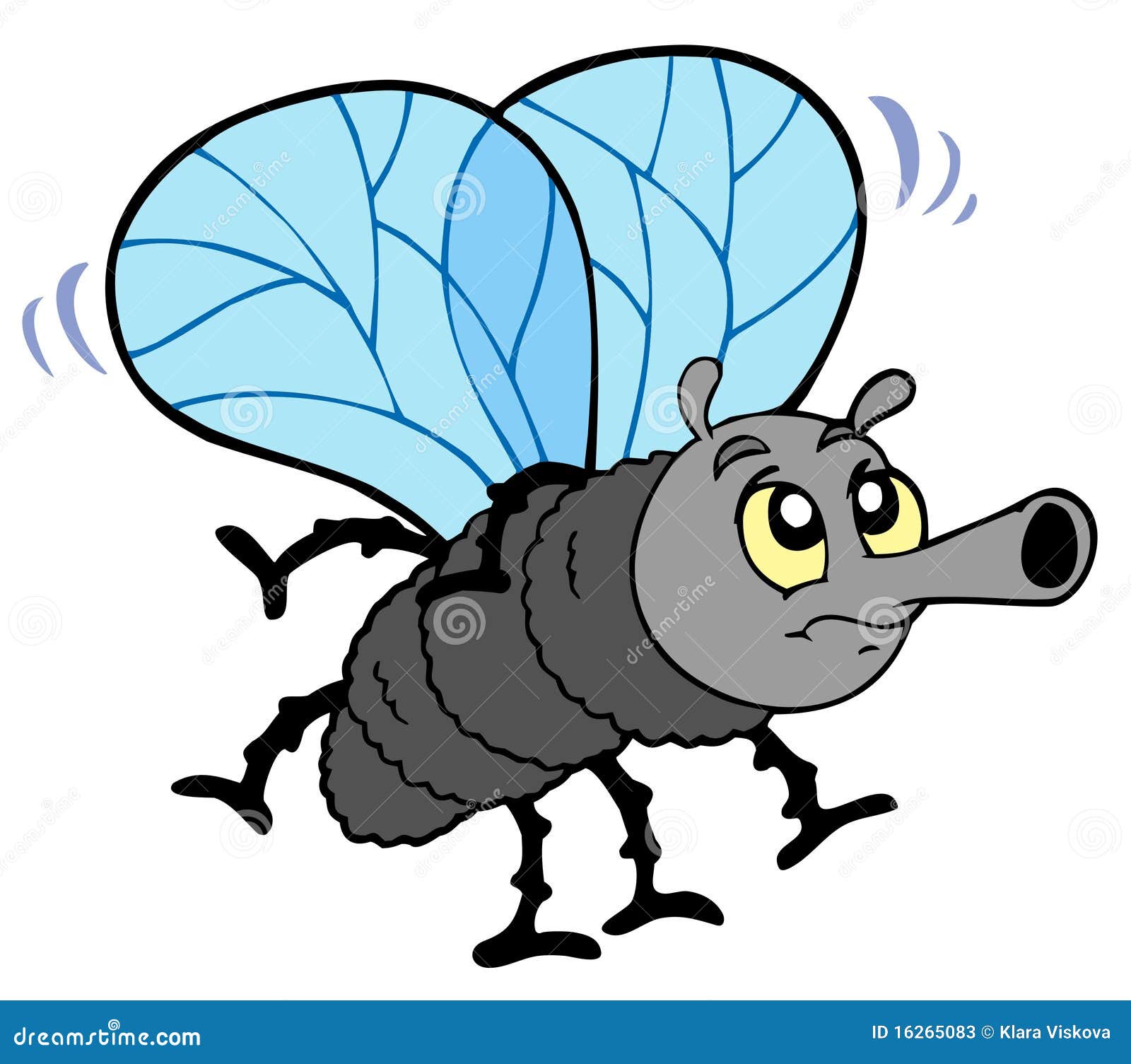 Cartoon fly stock vector. Illustration of graphic, animal 16265083