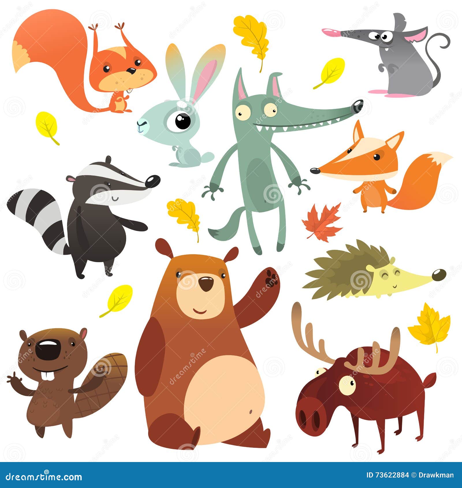 cartoon forest animal characters. wild cartoon animals collections . squirrel, mouse, badger, wolf, fox, beaver, bear