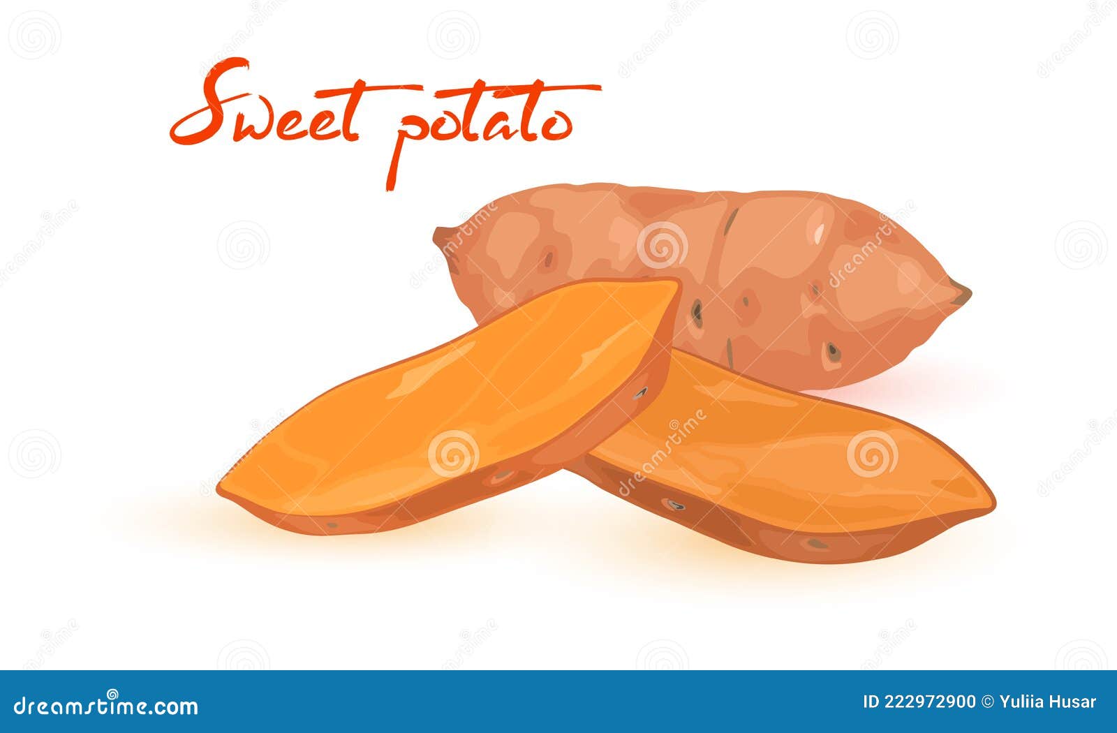 Cartoon fresh sweet potato stock vector. Illustration of organic ...