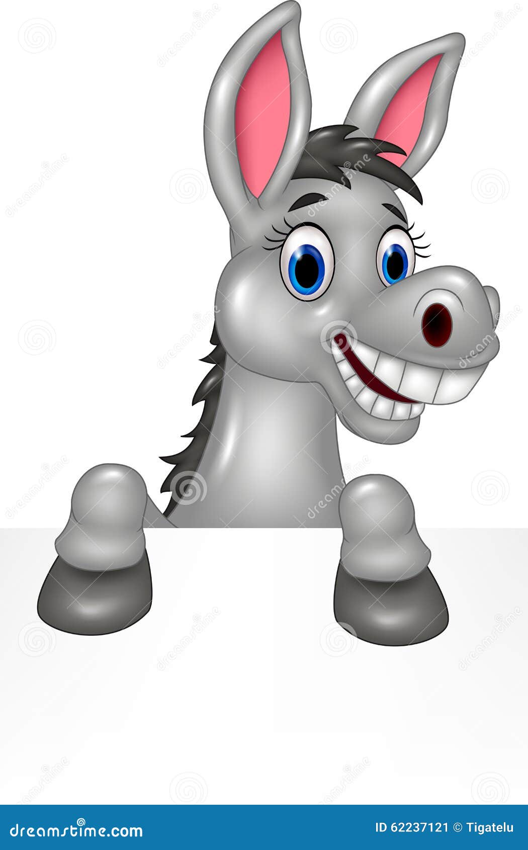 Cartoon Funny Donkey With Blank Sign Stock Vector Image 62237121