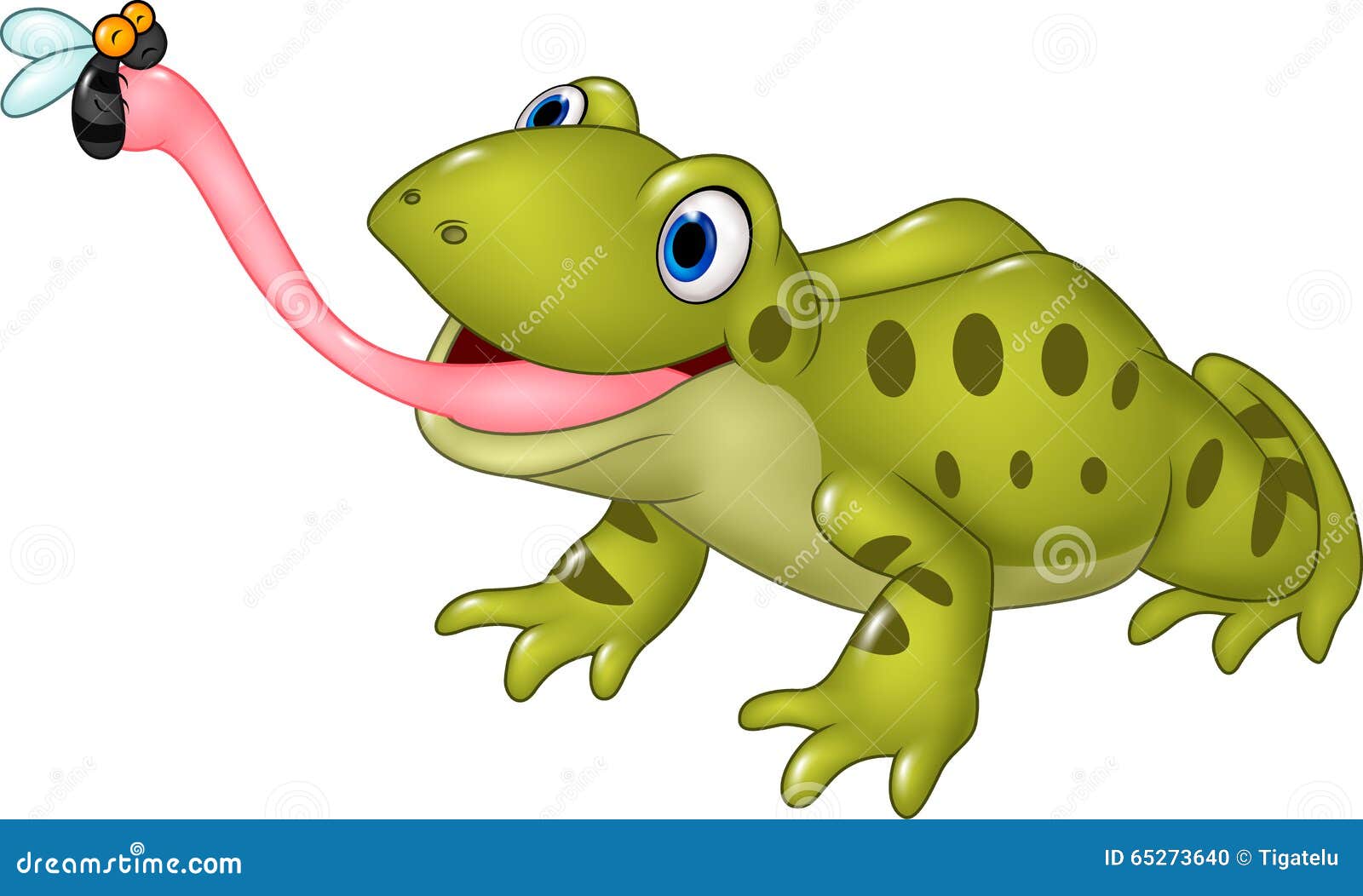 Cartoon Funny Frog Catching Fly Isolated on White Background Stock Vector -  Illustration of funny, toad: 65273640
