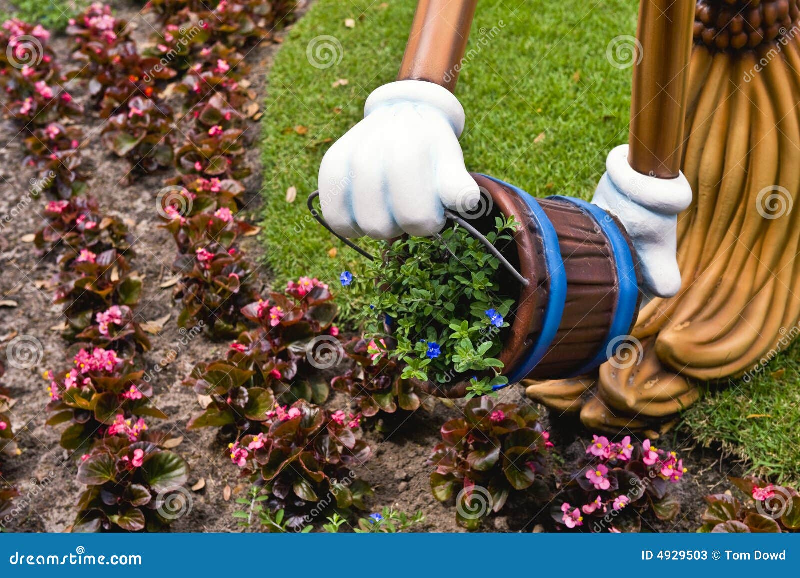 Cartoon gardening stock image. Image of gardening, chore - 4929503