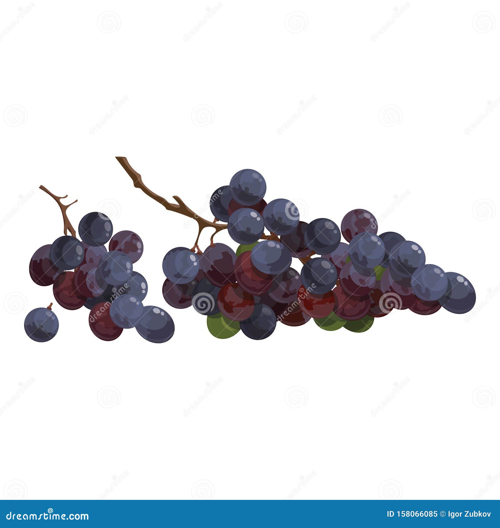 grapes fruit cartoon hand drawing illust... | Stock Video | Pond5
