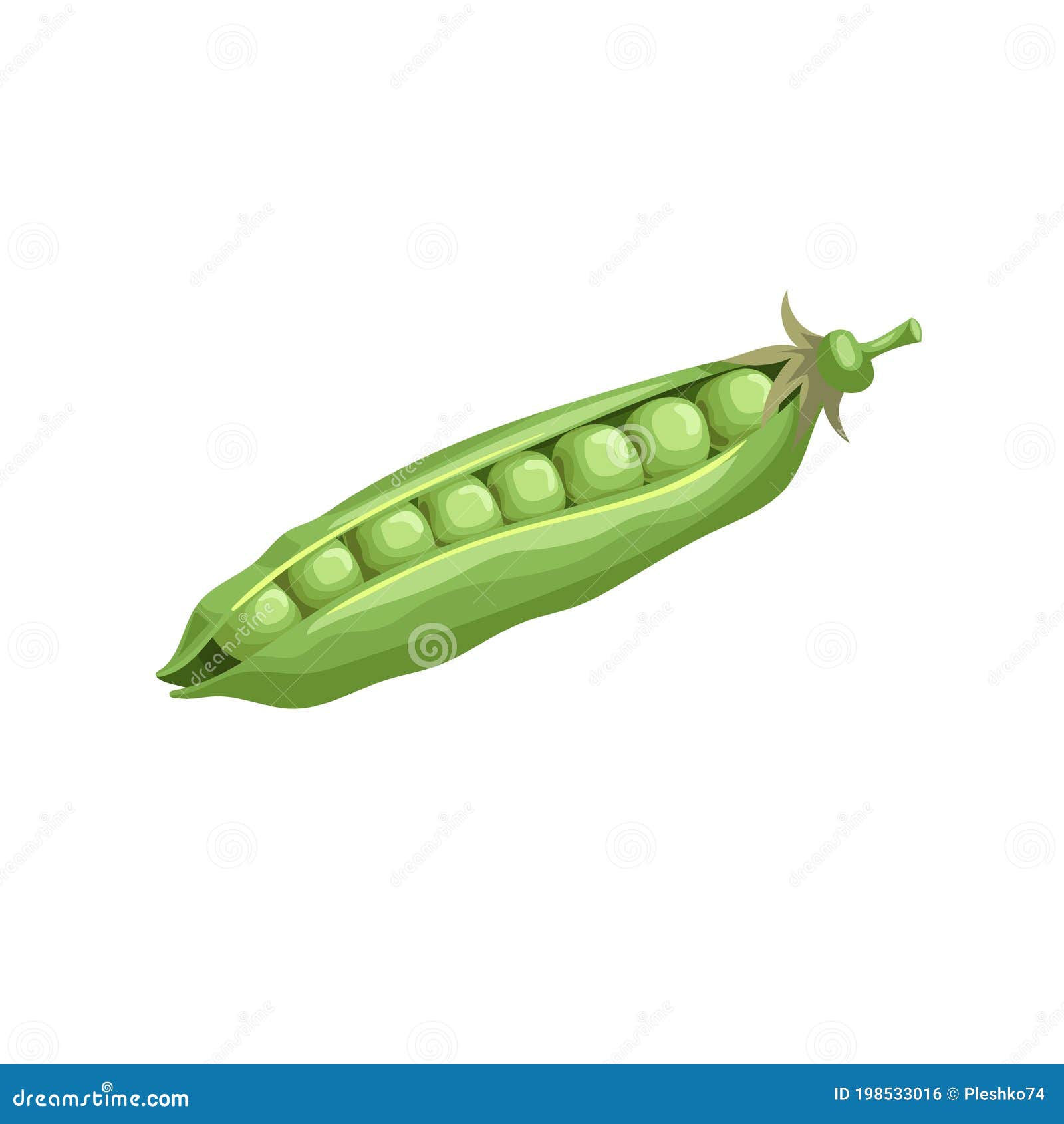 Cartoon Green Pea Open Pod with Seeds. Single Vegetable. Fresh Farm  Product. Eco Nutrition Stock Vector - Illustration of eating, healthy:  198533016