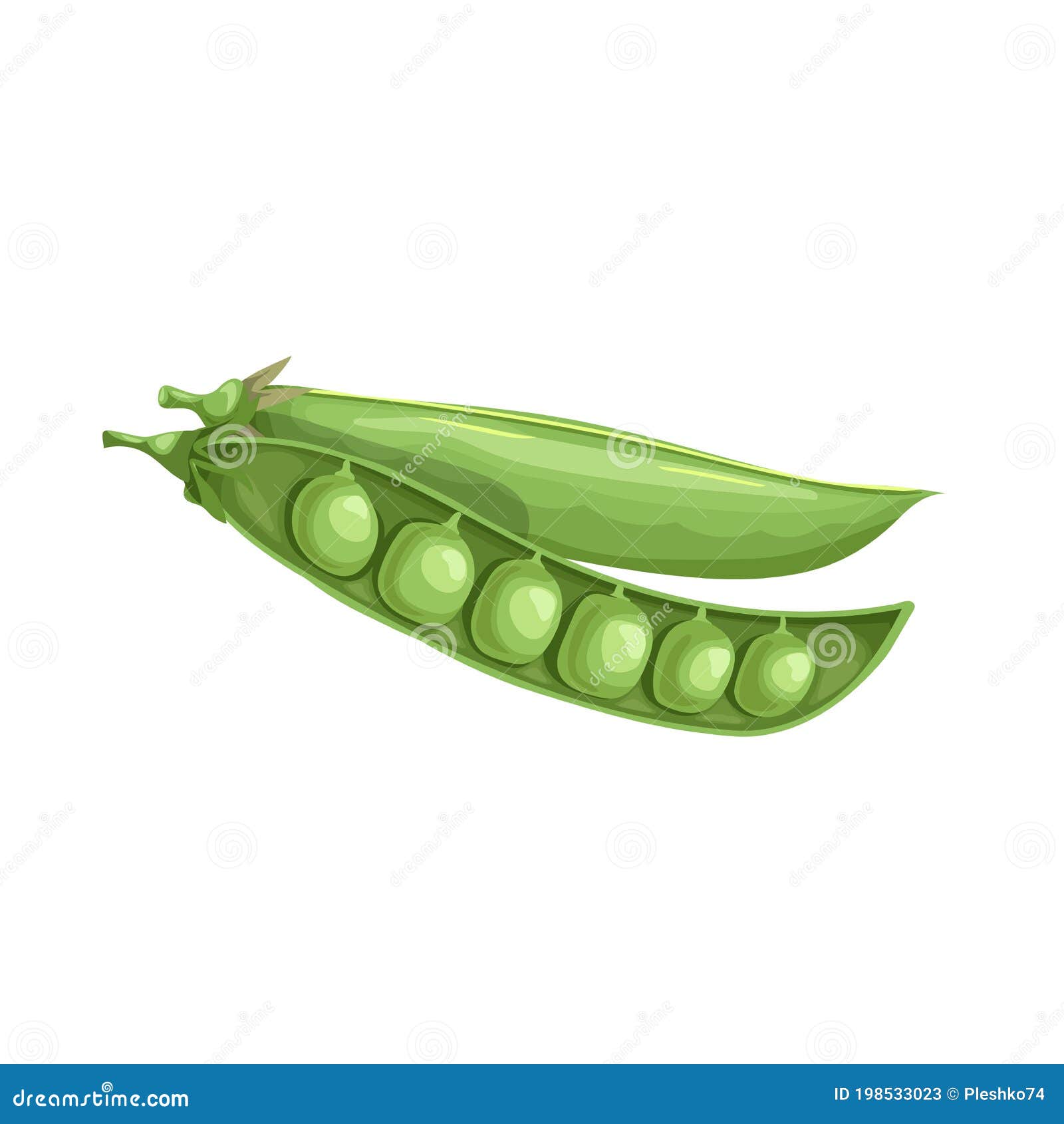 Cartoon Green Pea Open Pod with Seeds. Single Vegetable. Fresh Farm  Product. Eco Nutrition Stock Vector - Illustration of nutrition, nutrient:  198533023