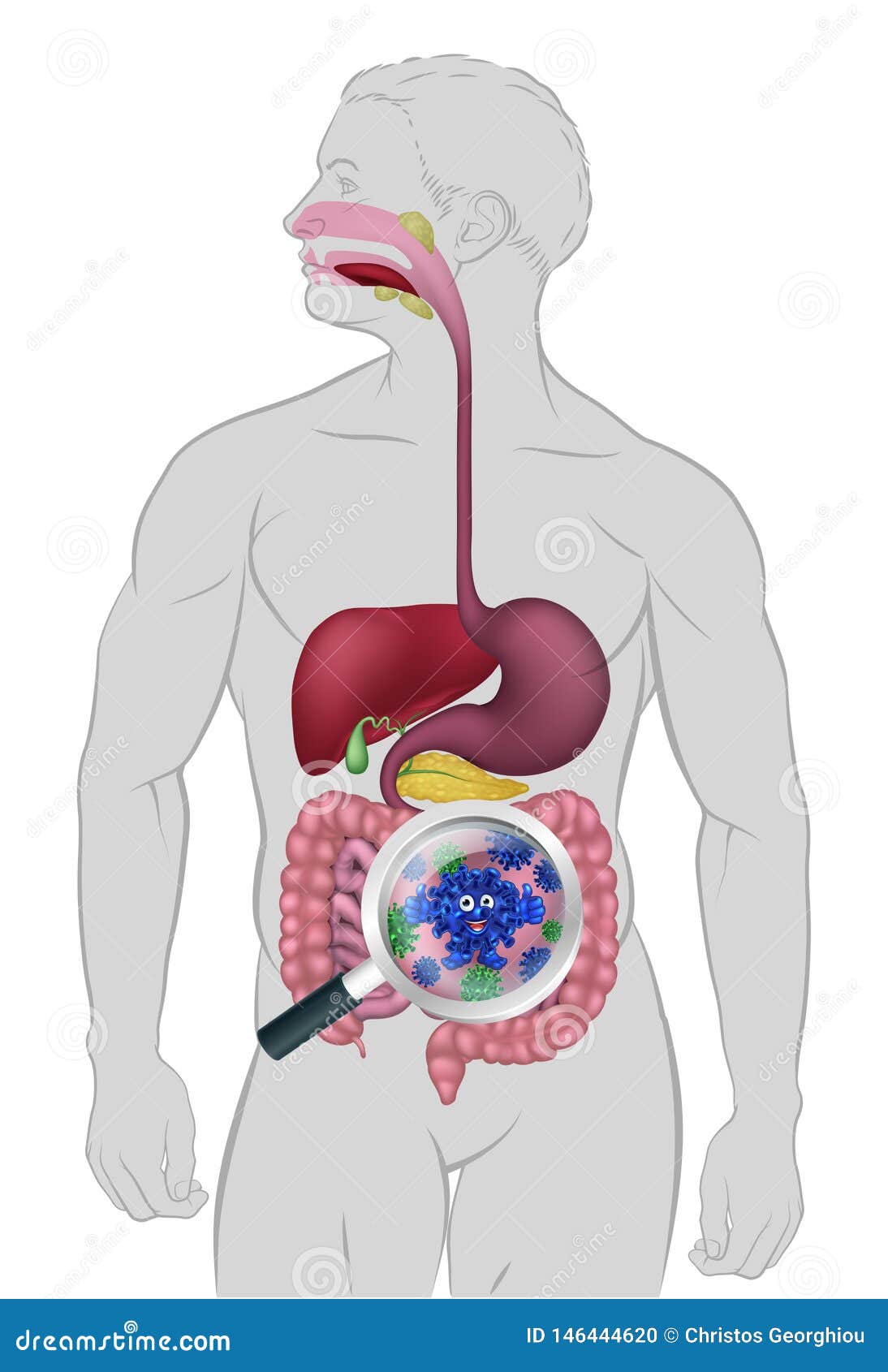 Cartoon Gut Stock Illustrations – 2,545 Cartoon Gut Stock Illustrations, Vectors & Clipart - Dreamstime Cartoon Gut Stock Illustrations – 2,545 Cartoon Gut Stock Illustrations, Vectors & Clipart - Dreamstime