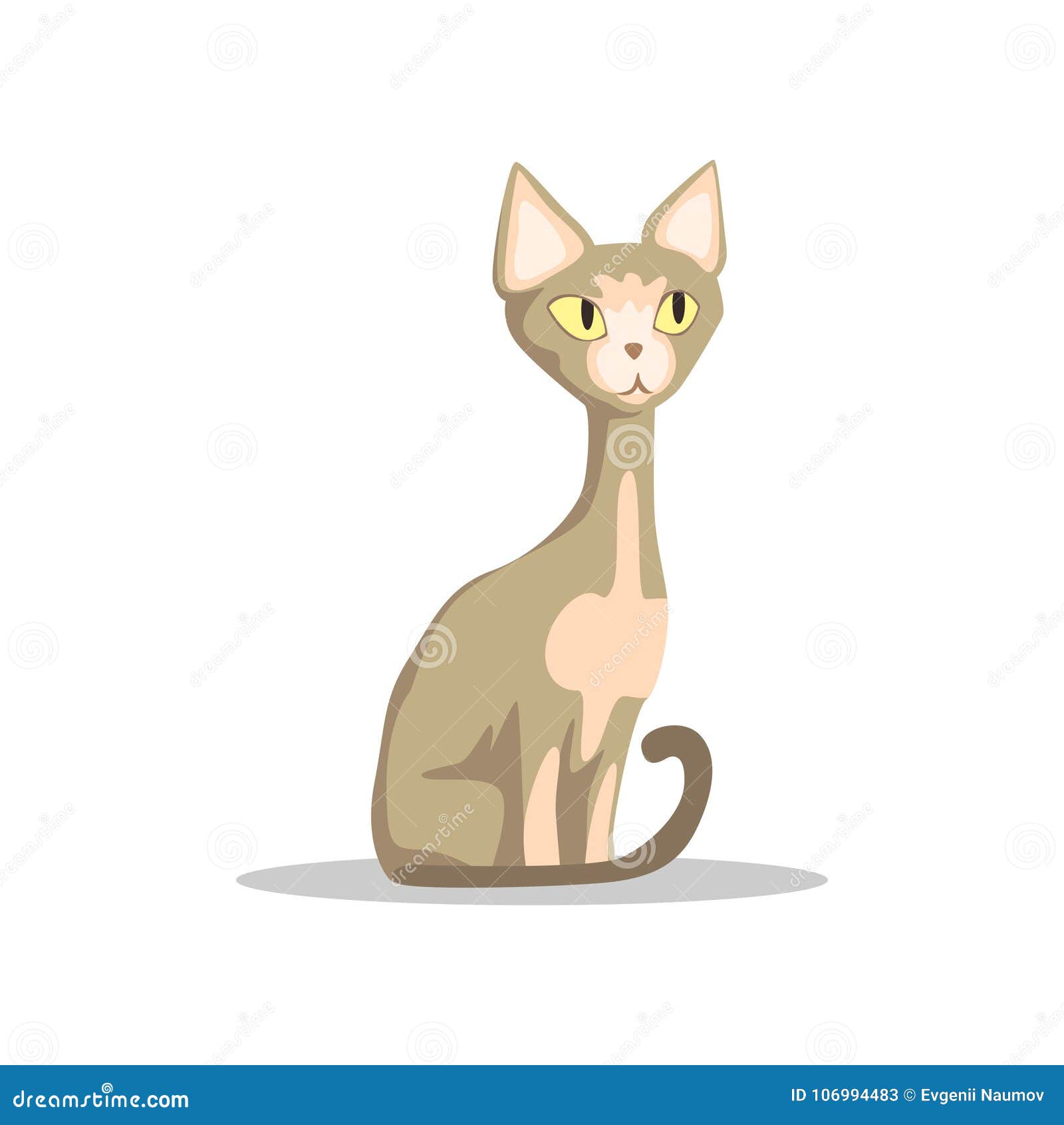 Cartoon Hairless Cat with Yellow Eyes, Thin Tail and Big Ears. Sphynx  Breed. Domestic Animal. Flat Vector Design for Stock Vector - Illustration  of breed, face: 106994483