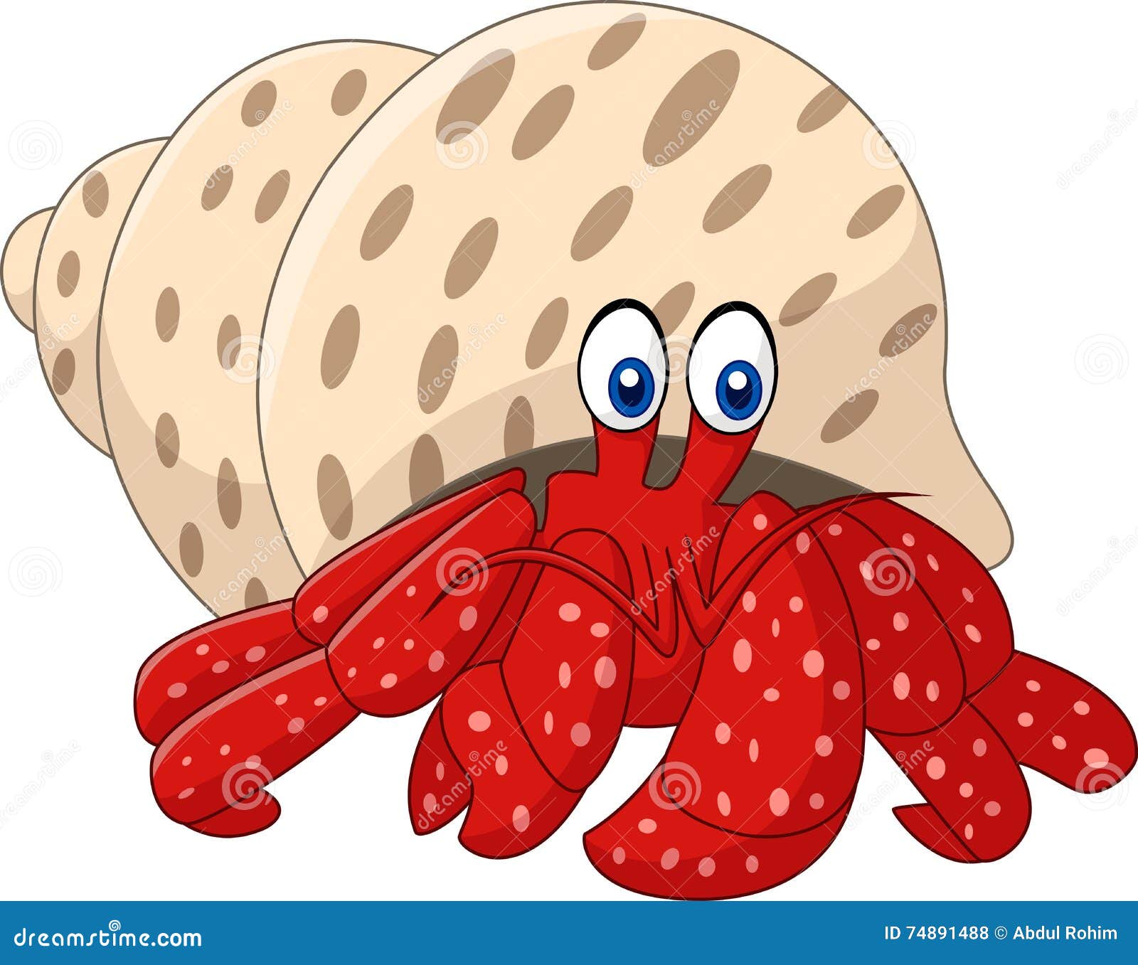 Cartoon Hermit Crab Isolated On White Background. Vector Closeup