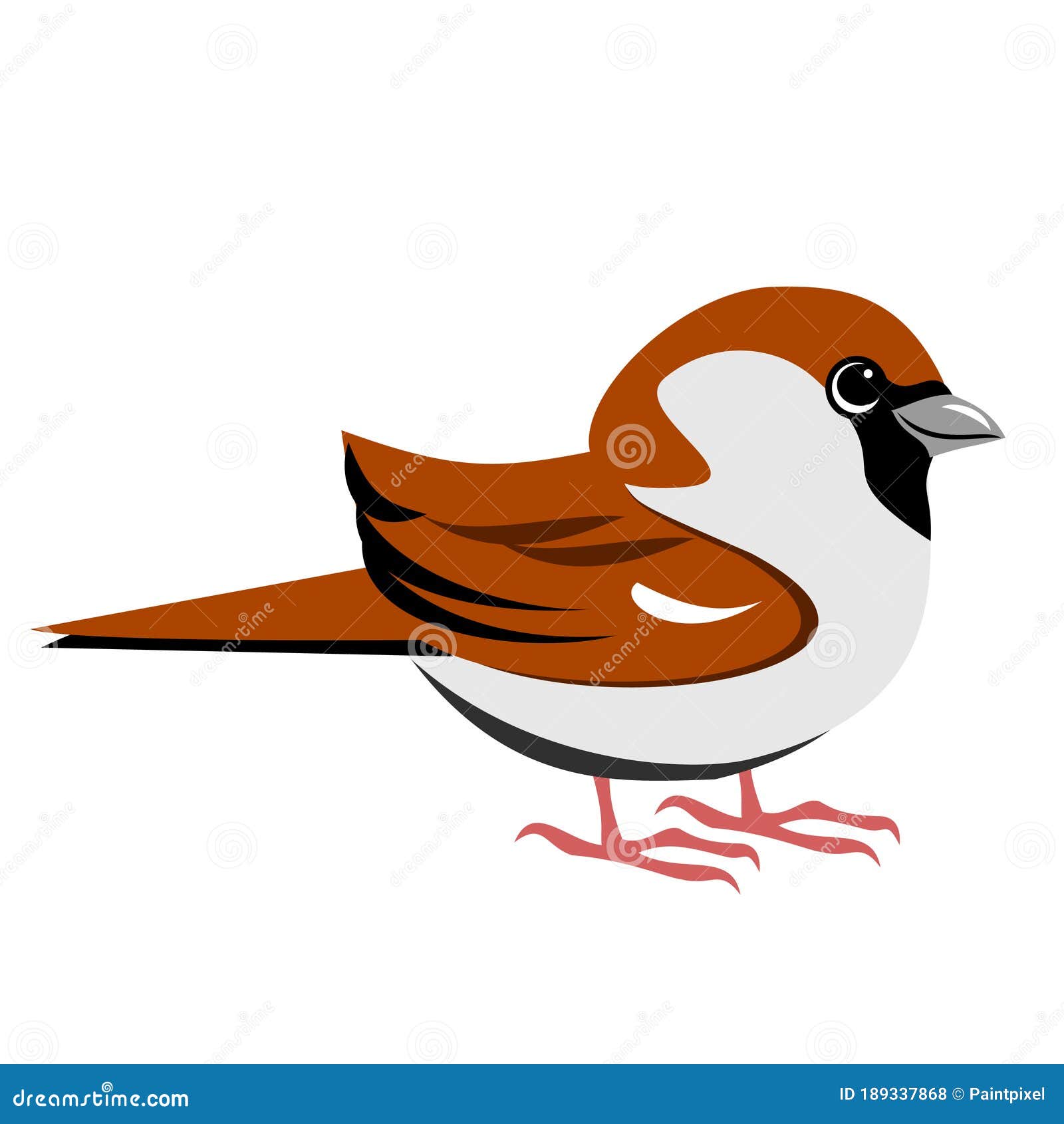 Cartoon House Sparrow stock vector. Illustration of garden - 189337868 Cartoon House Sparrow stock vector. Illustration of garden - 189337868