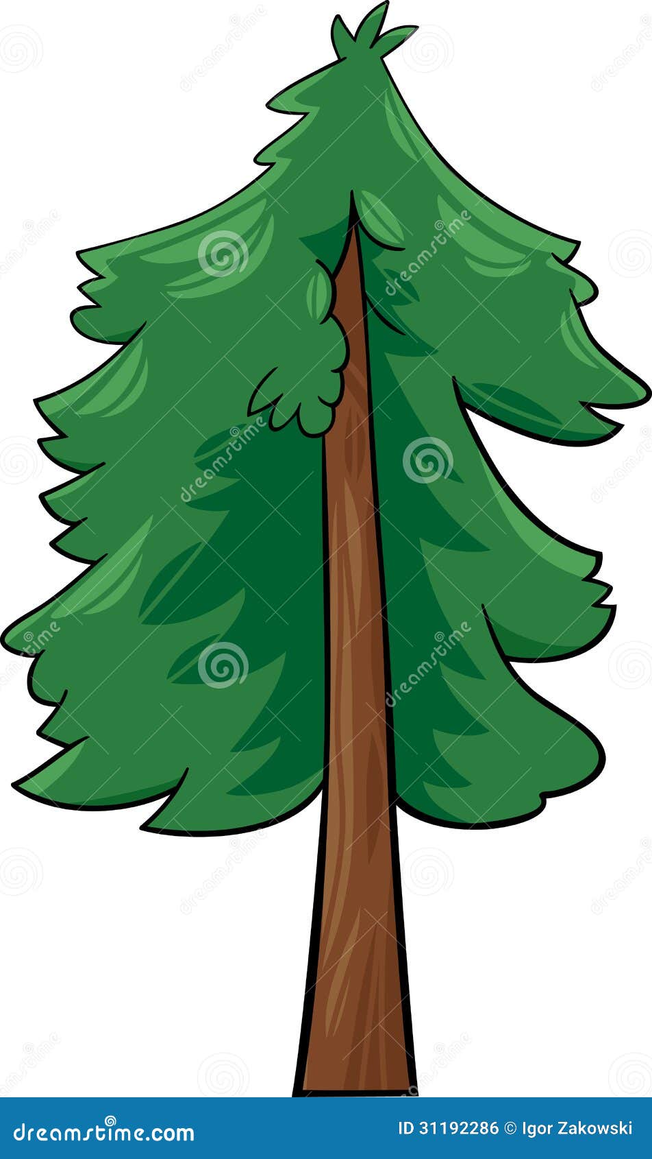cartoon  of conifer tree