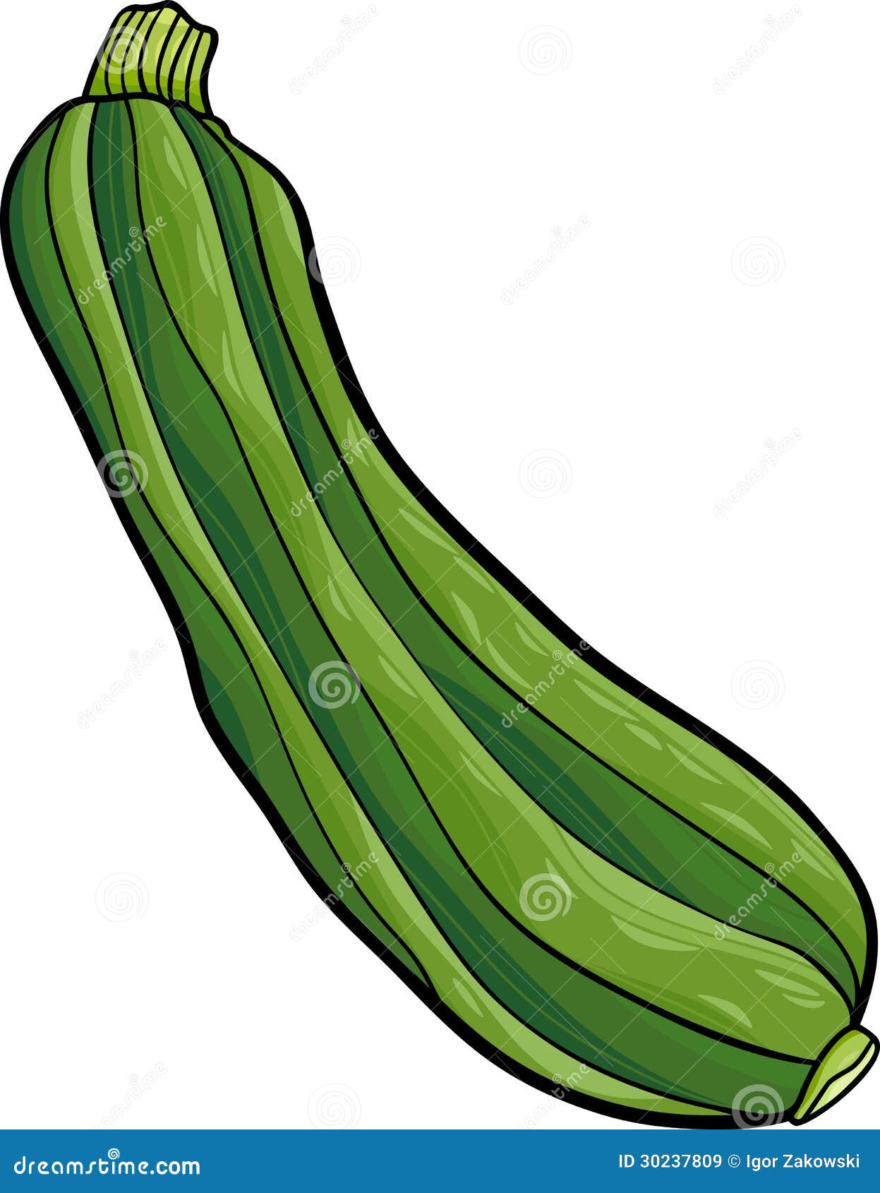 free clipart zucchini - photo #15