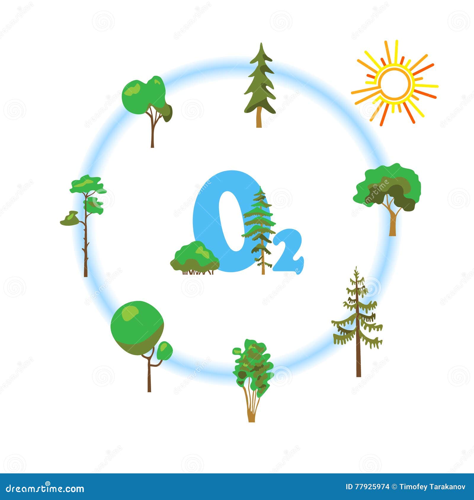 clipart photosynthesis - photo #48