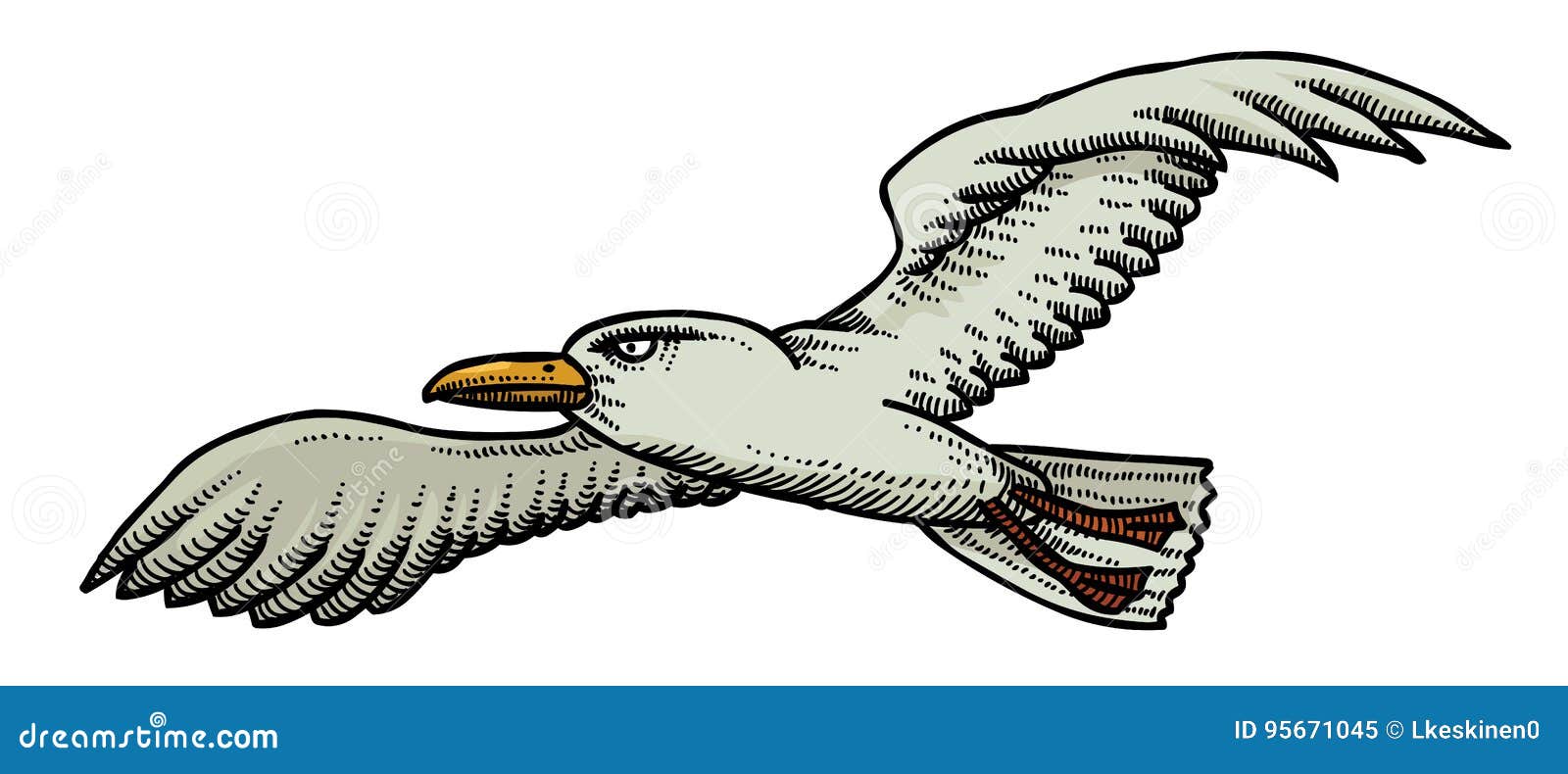 Cartoon image of seagull stock vector. Illustration of flutter - 95671045