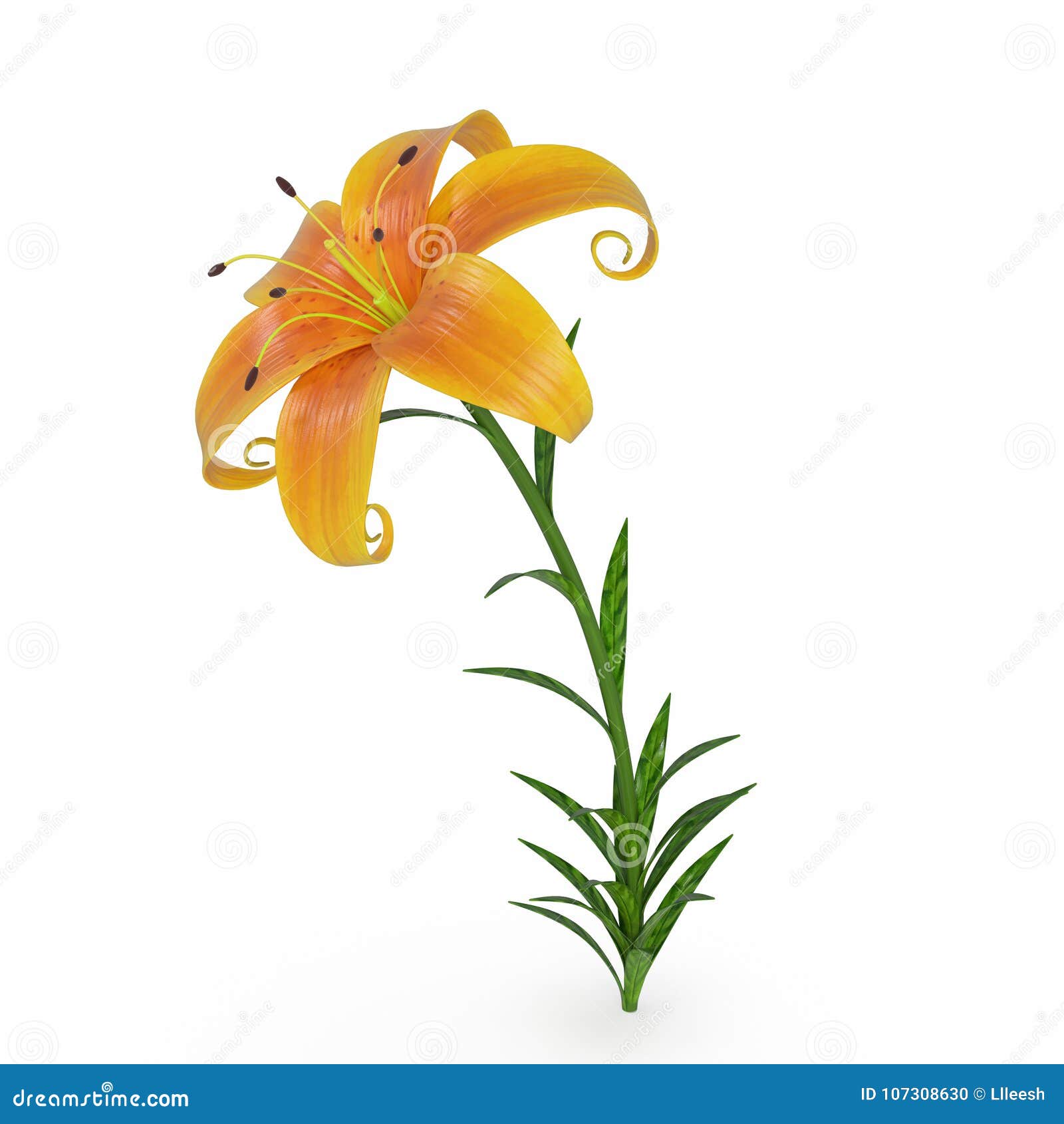 Cartoon Lily Flower is Yellow. Stock Illustration - Illustration of  scenery, life: 107308630