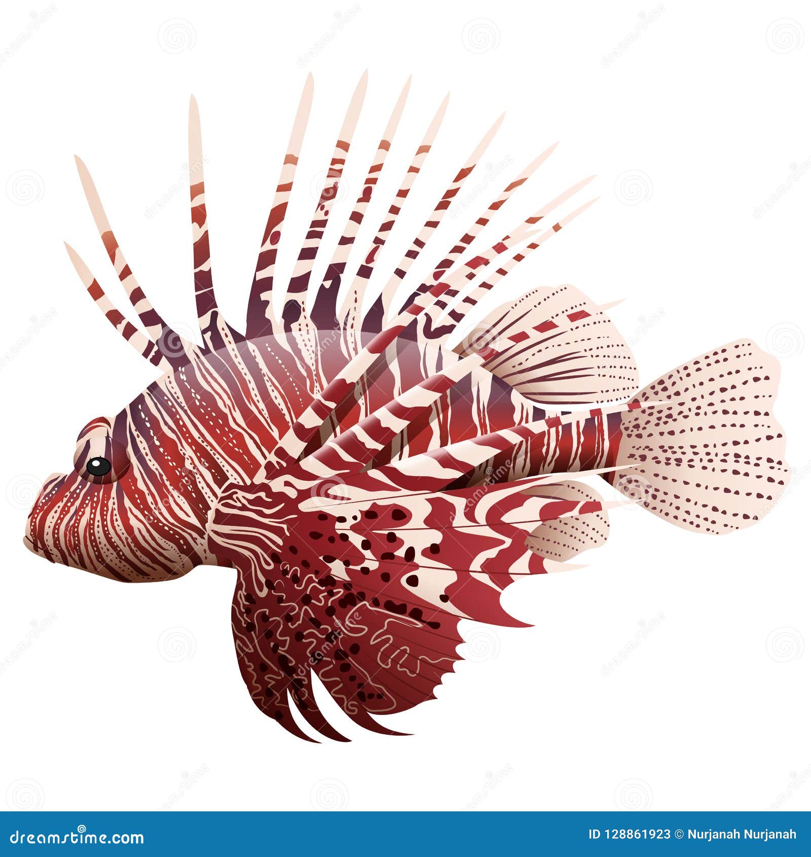 Download Lionfish Stock Illustrations - 273 Lionfish Stock Illustrations, Vectors & Clipart - Dreamstime