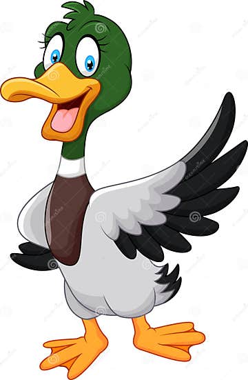 Cartoon Mallard Duck Waving Isolated on White Background Stock Vector ...