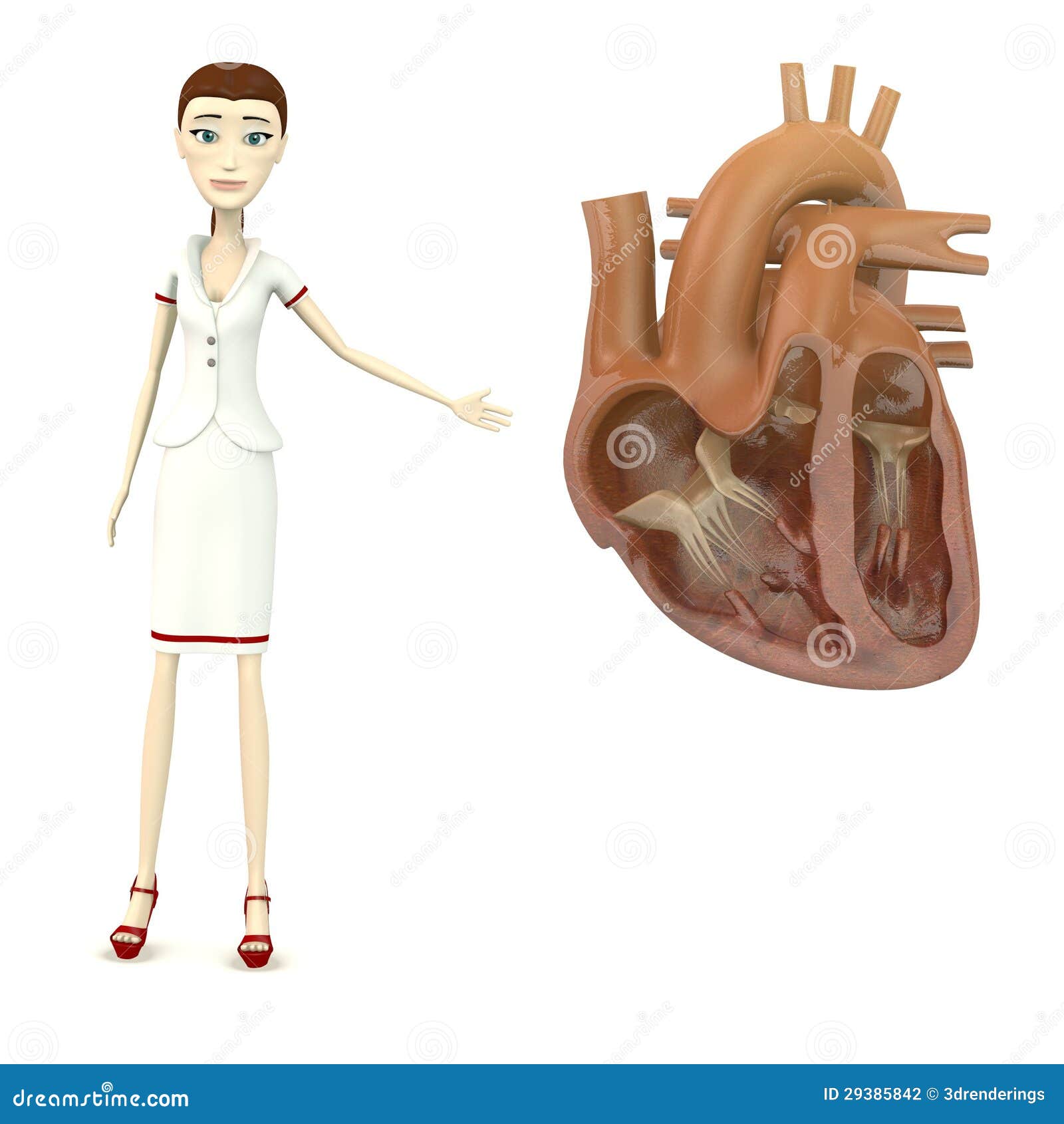 Cartoon Nurse with Human Heart Stock Illustration - Illustration of  business, woman: 29385842