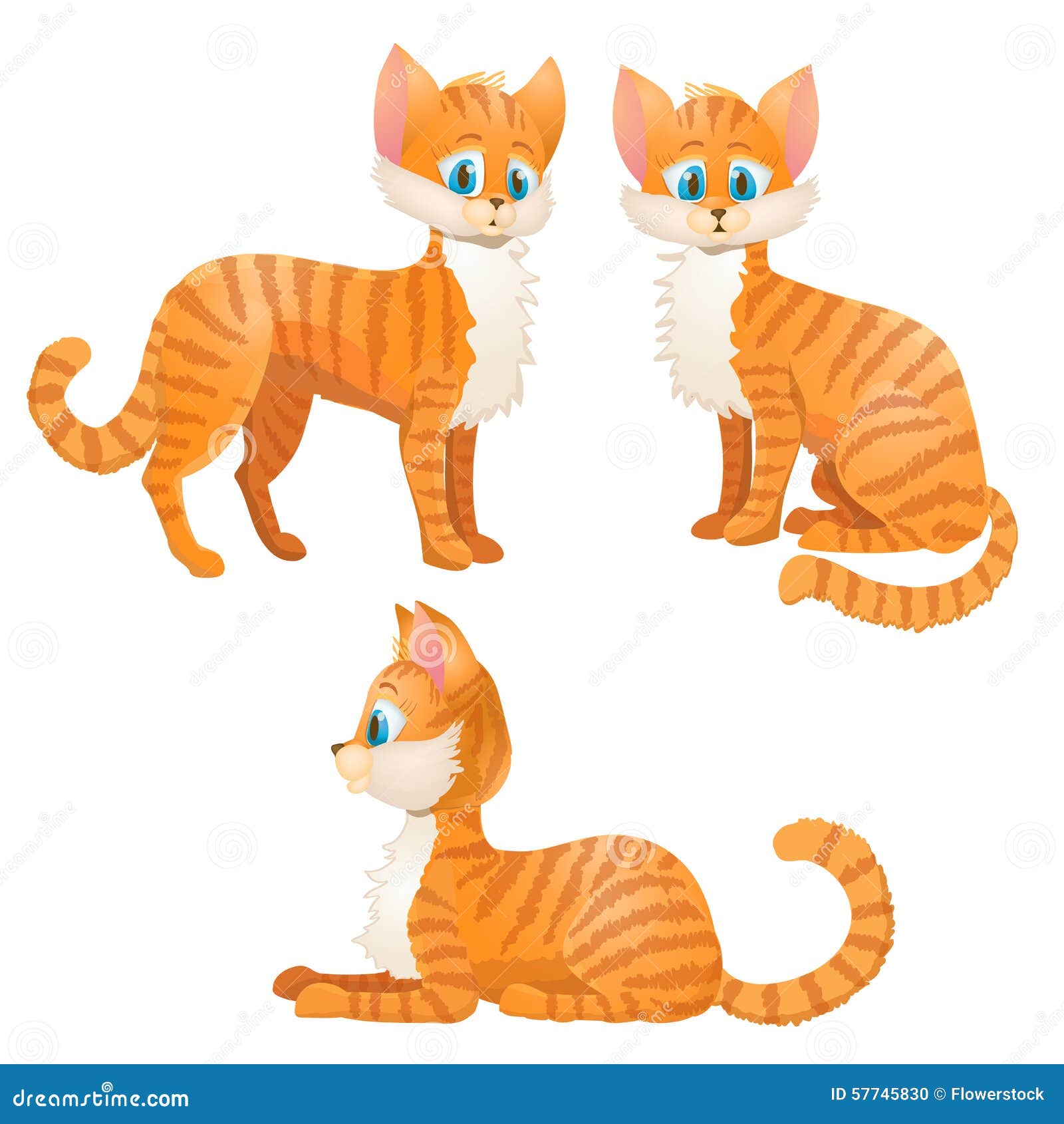 Cartoon Orange Tabby Cat Set Stock Vector Illustration of pets