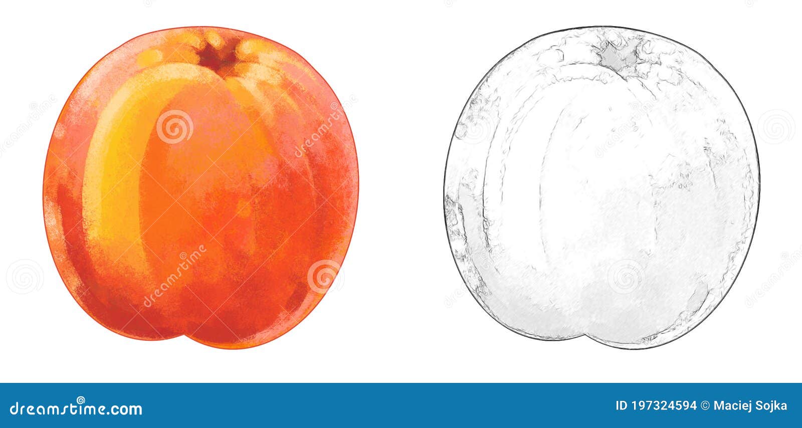 Cartoon Peach Stock Illustrations – 11,207 Cartoon Peach Stock Illustrations, Vectors & Clipart - Dreamstime Cartoon Peach Stock Illustrations – 11,207 Cartoon Peach Stock Illustrations, Vectors & Clipart - Dreamstime