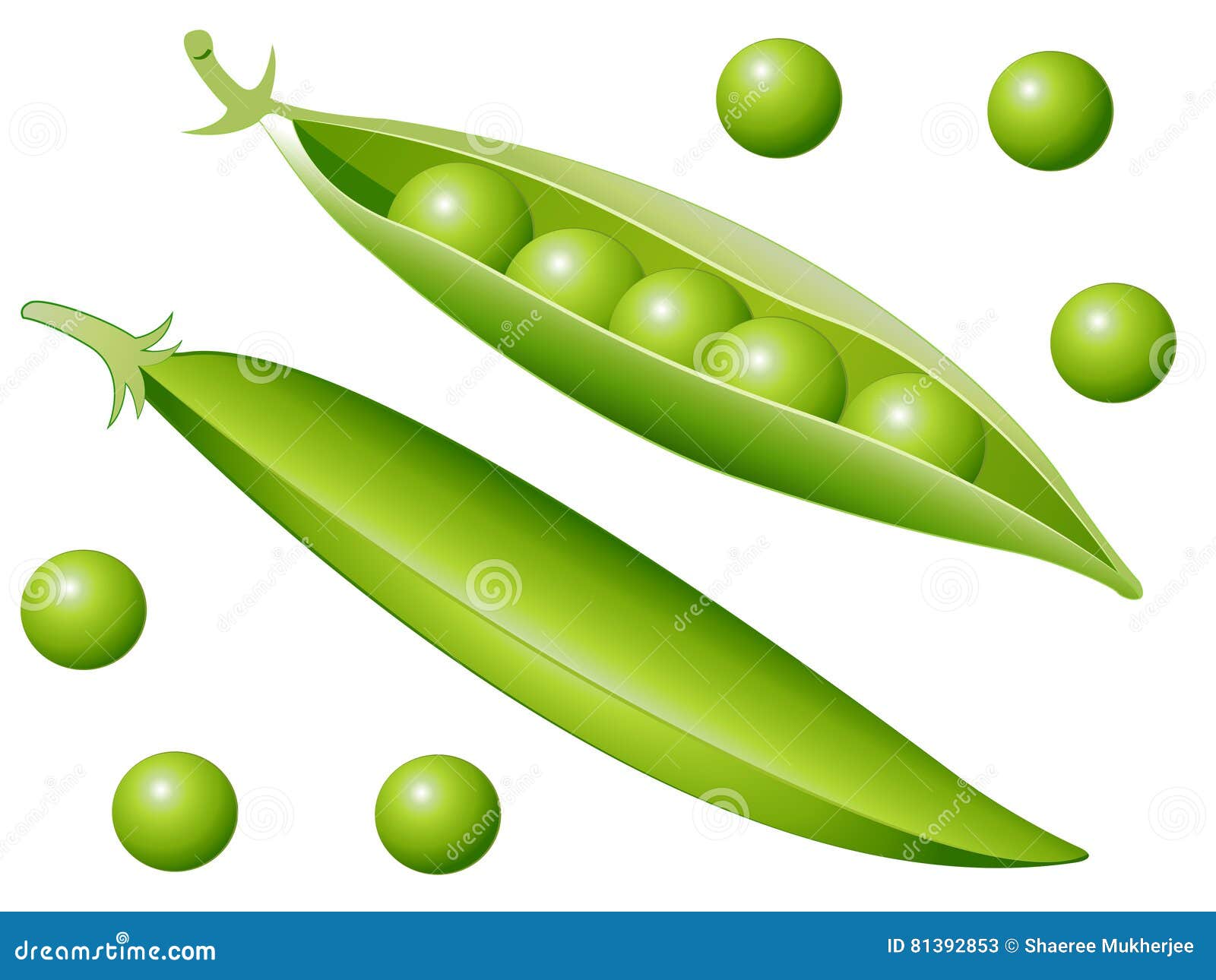 Cartoon Peas stock vector. Illustration of peas, vector - 81392853