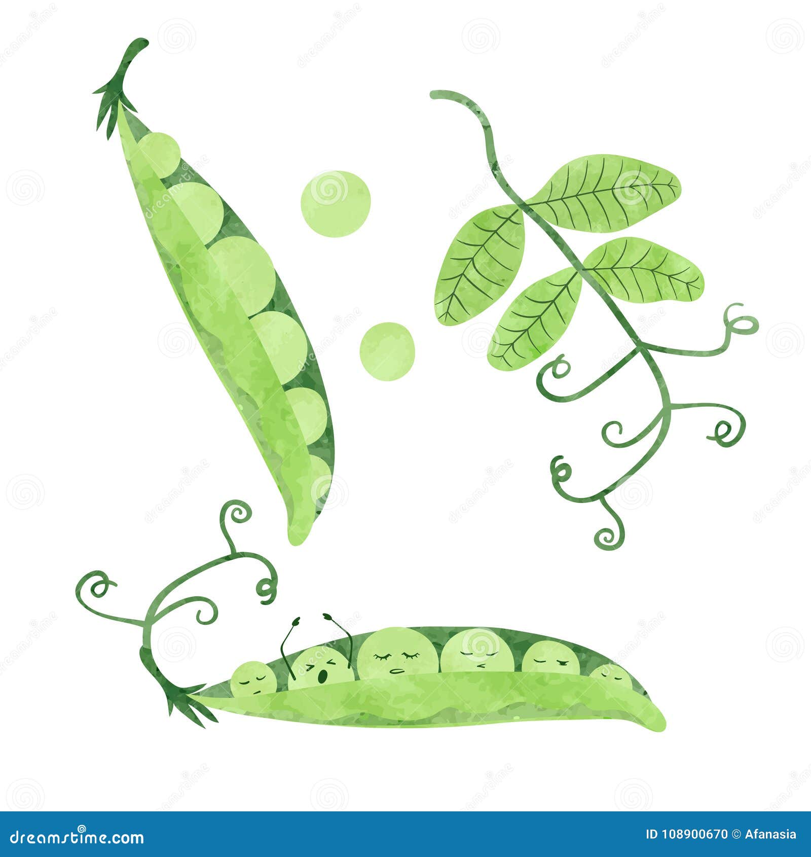 Hand Drawn Sketch Green Peas. Isolated on White Stock Vector - Illustration  of background, light: 153318769