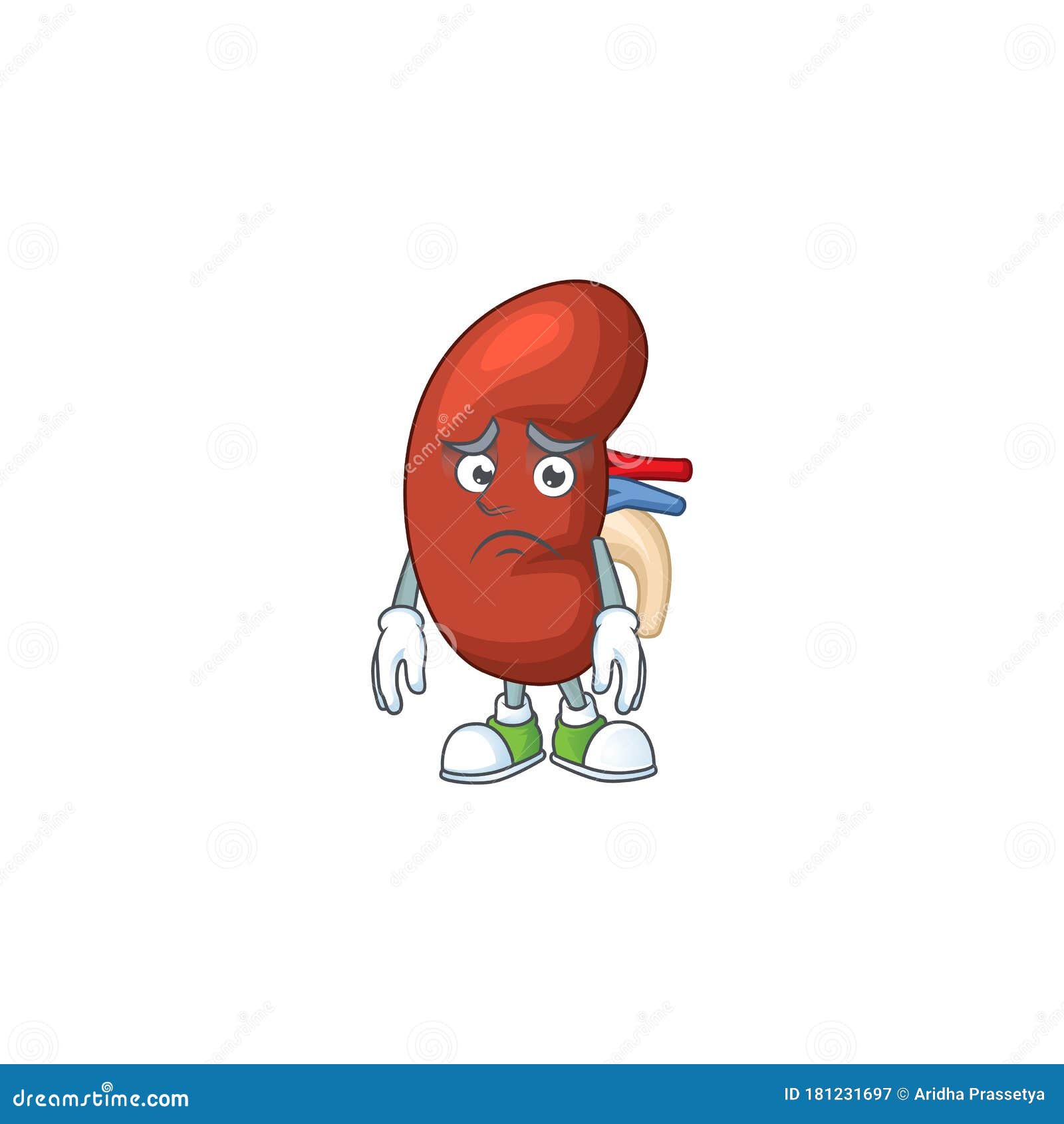 Cartoon Picture of Leaf Human Kidney with Worried Face Stock Vector ...