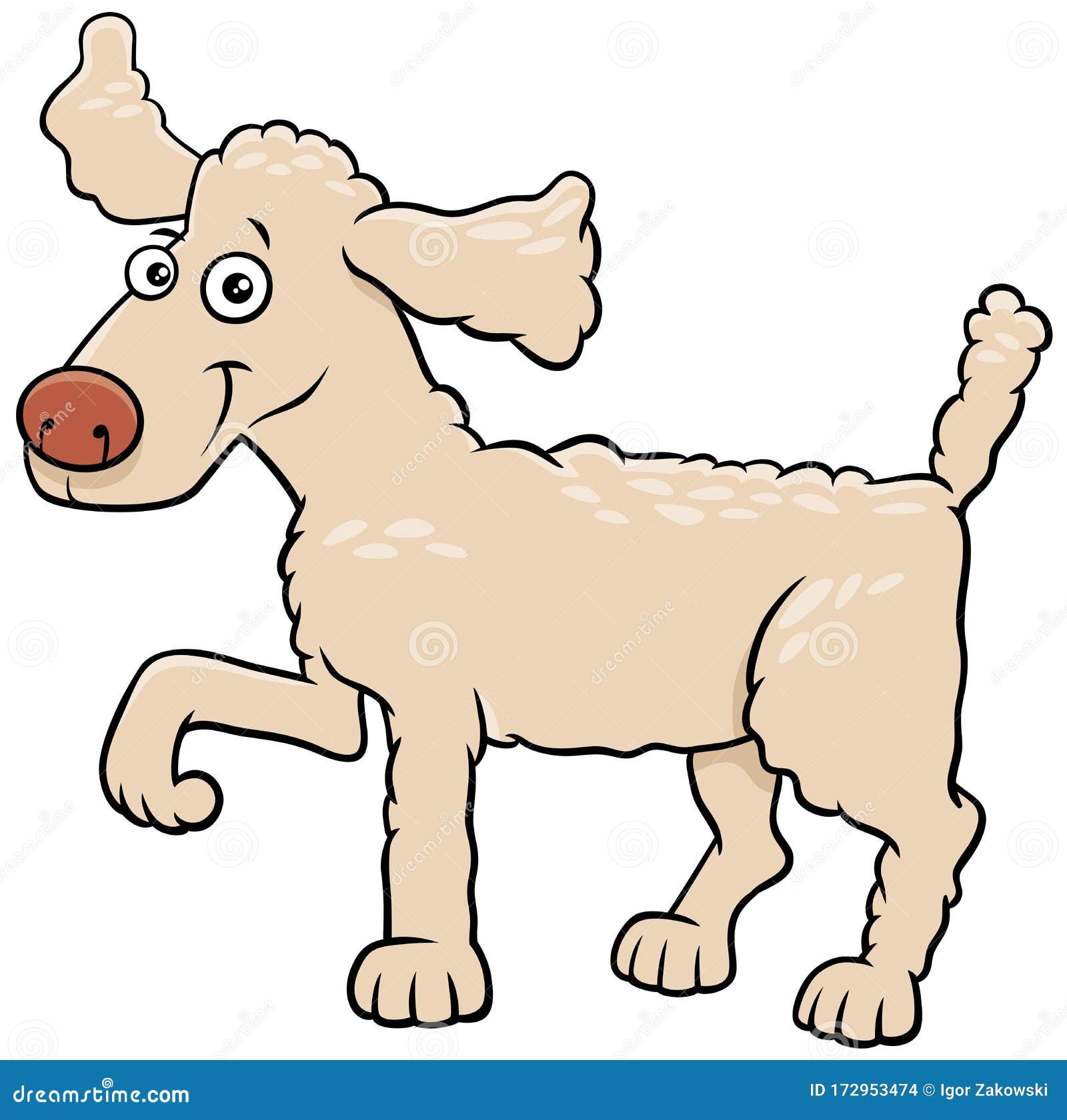 Cartoon Poodle Dog Pet Animal Character Stock Vector - Illustration of