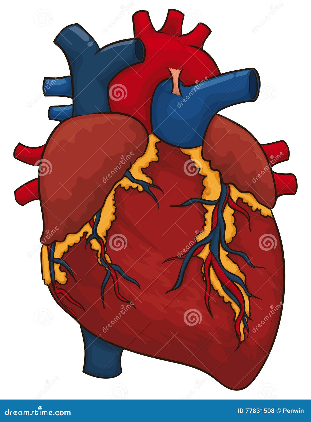Cartoon Poster with Realistic Heart Design, Vector Illustration Stock  Vector - Illustration of anatomy, diagnostic: 77831508