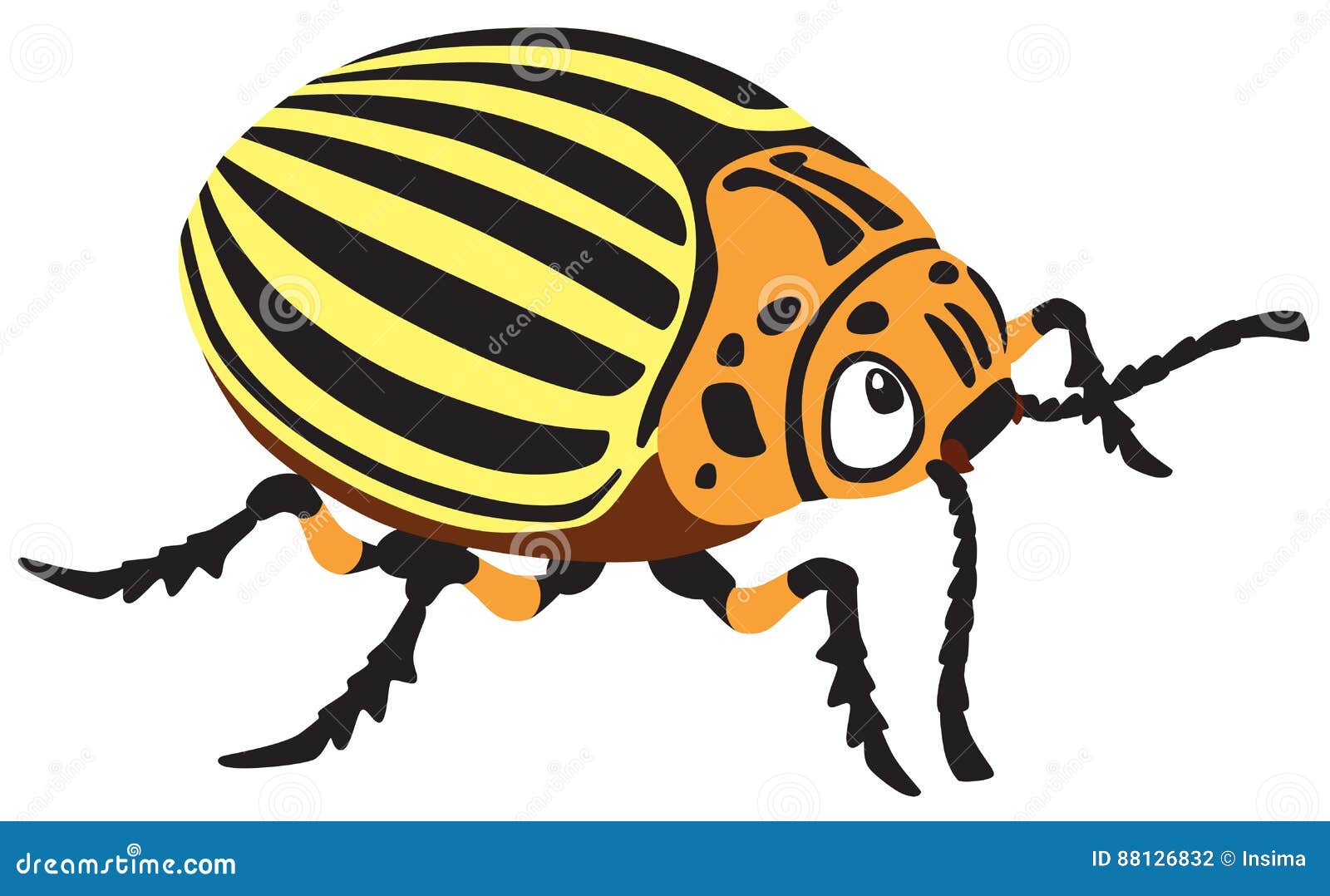 Cartoon potato beetle stock vector. Illustration of vector 88126832